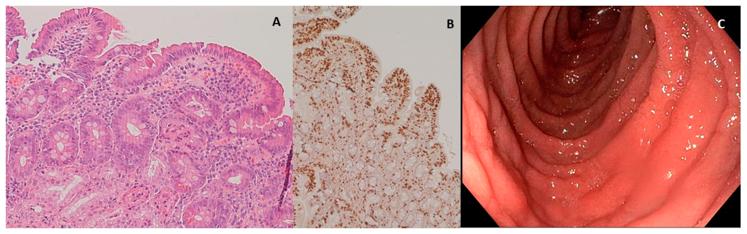 Nutrients 12 03566 g003