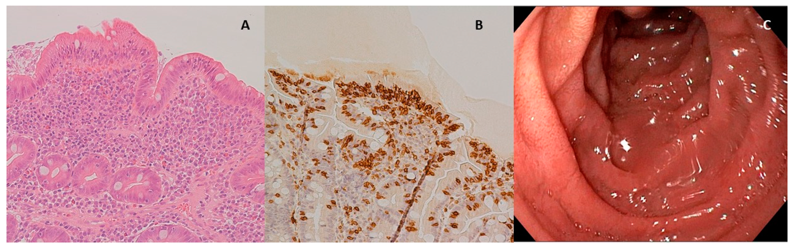 Nutrients 12 03566 g004
