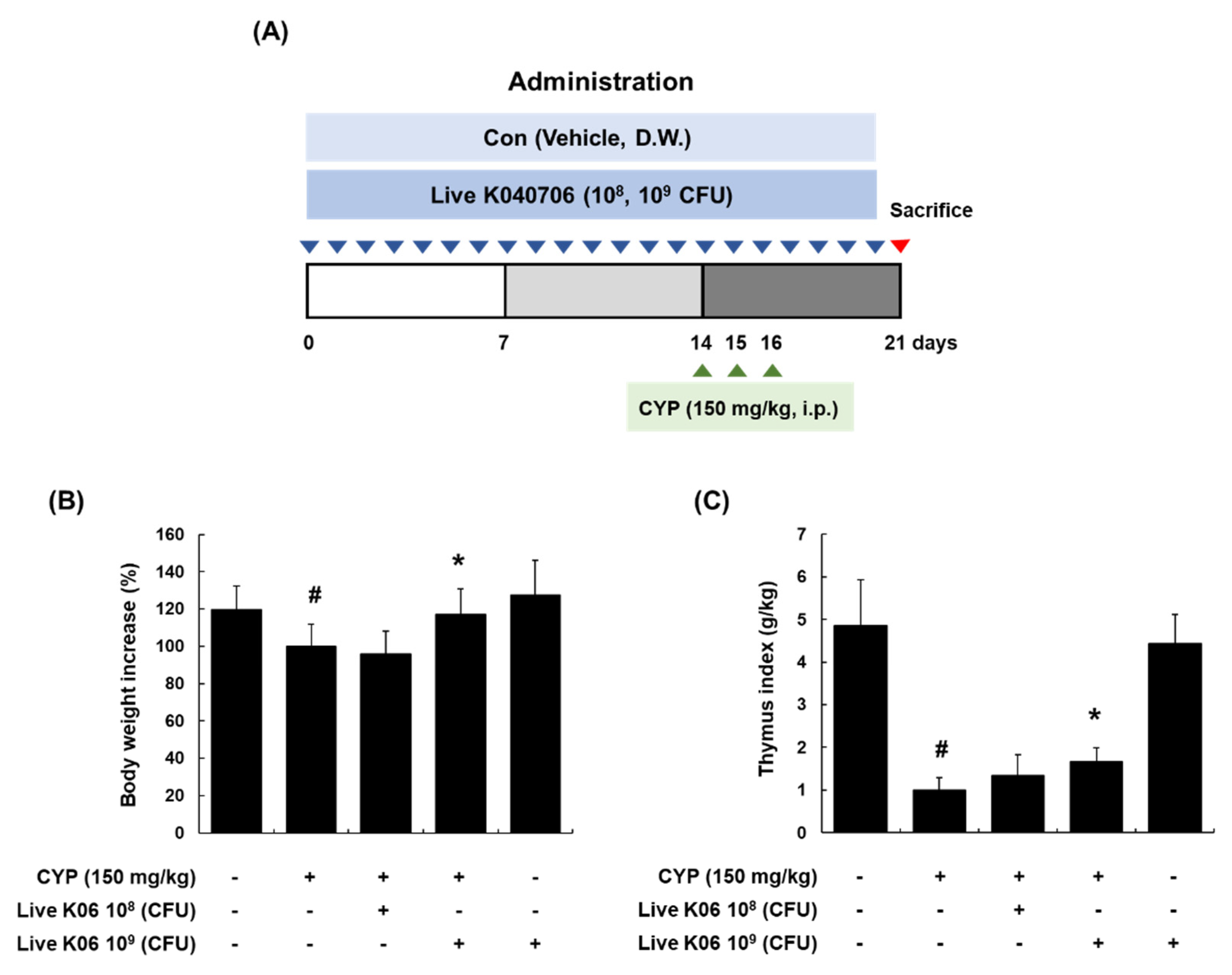 Nutrients 12 03573 g001