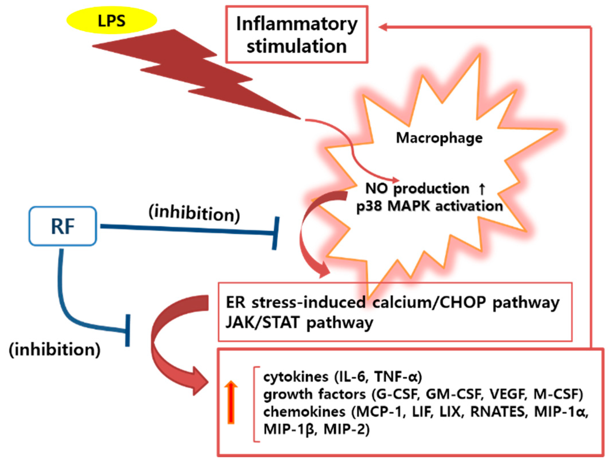 Nutrients 12 03577 g005