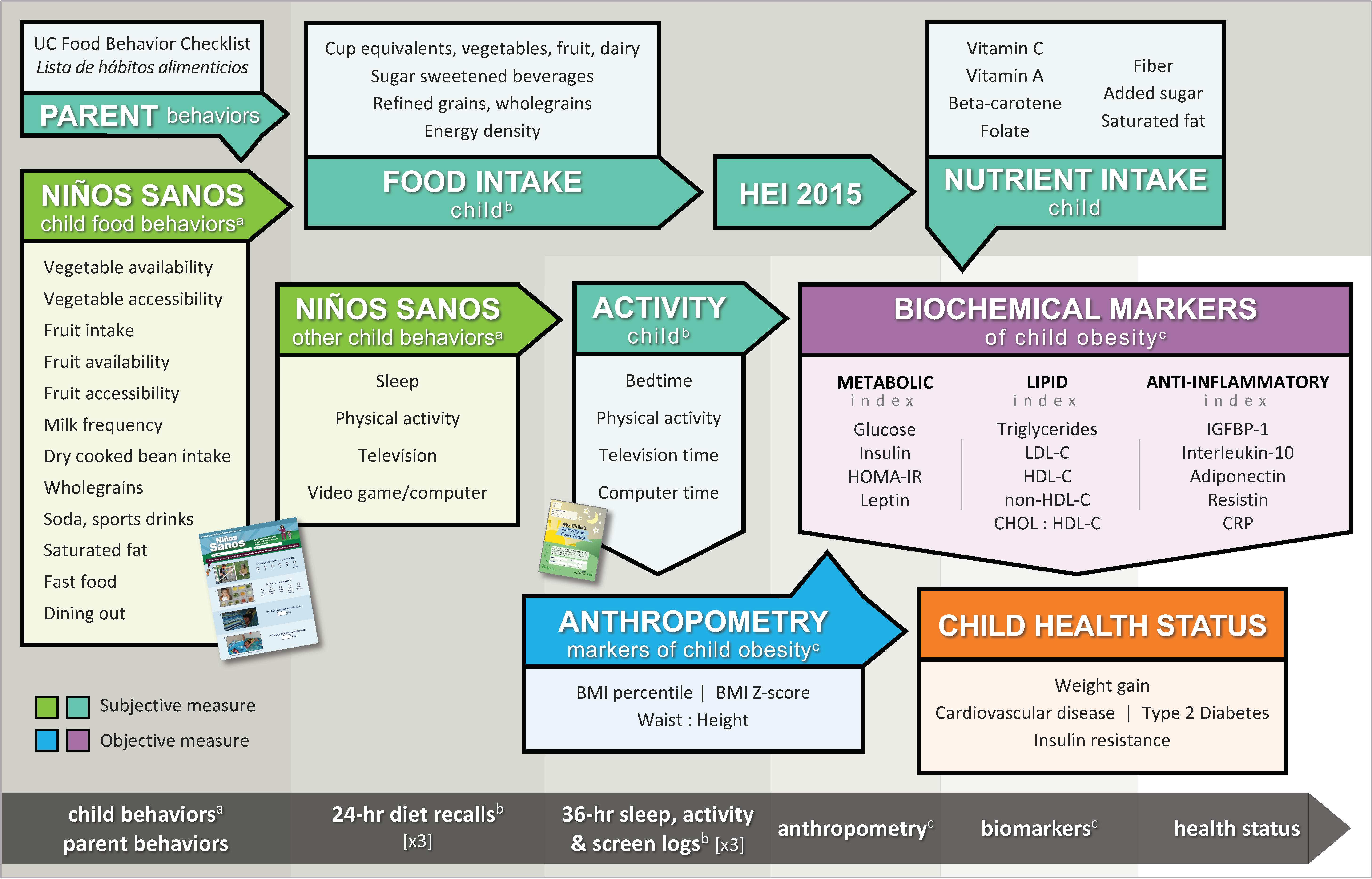 Nutrients 12 03582 g001 Nutrients 12 03582 g001