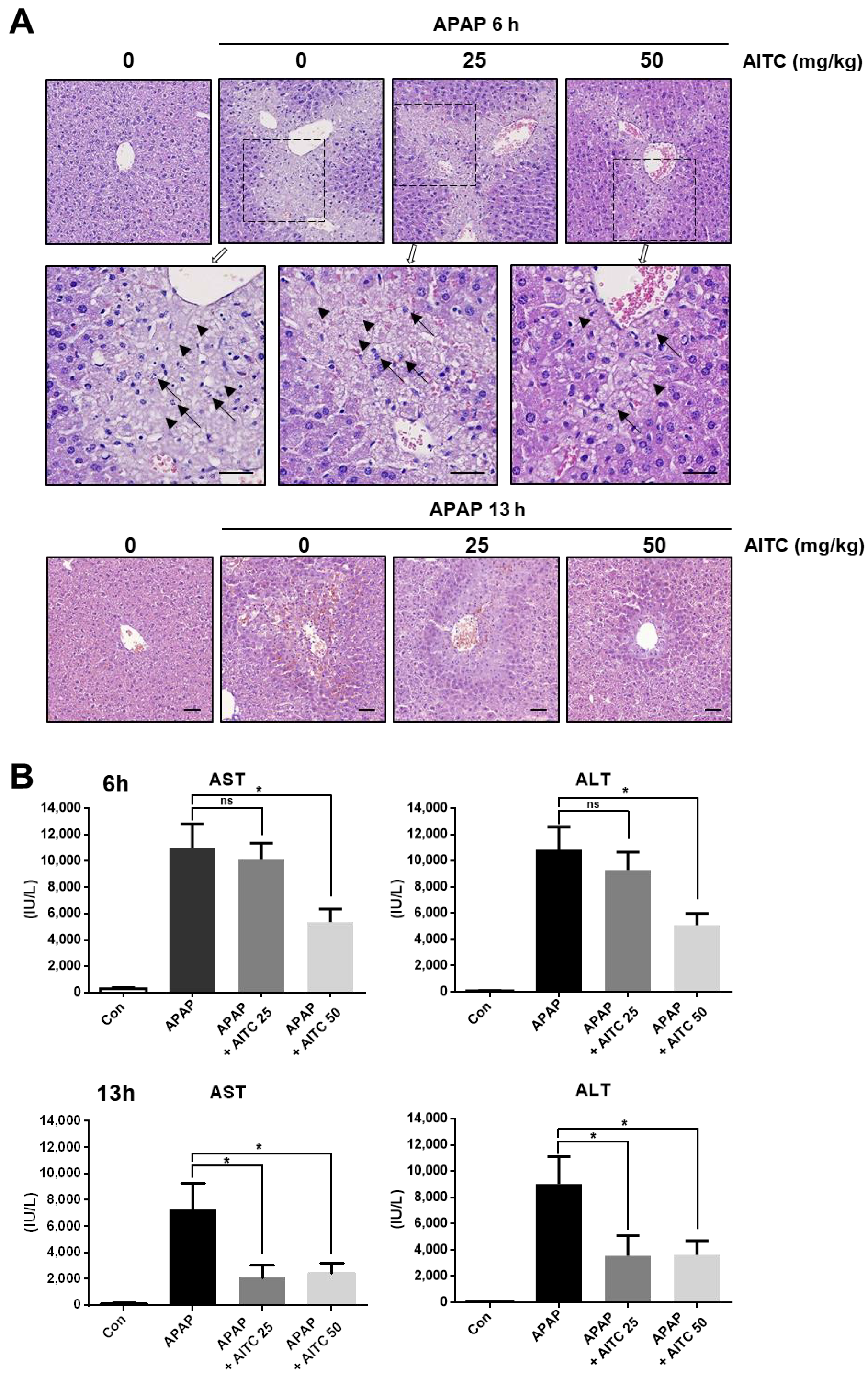 Nutrients 12 03585 g001 Nutrients 12 03585 g001