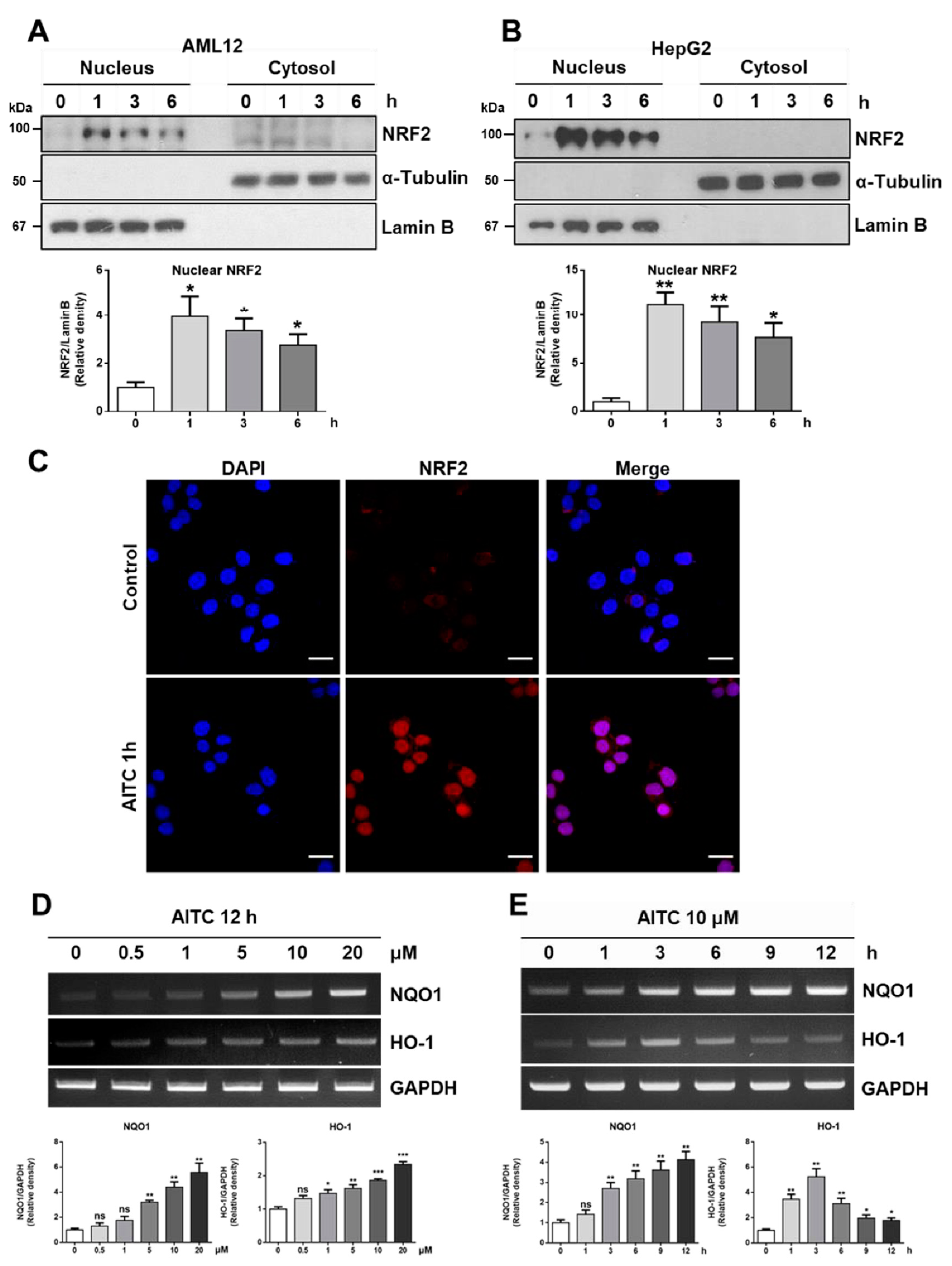 Nutrients 12 03585 g003 Nutrients 12 03585 g003
