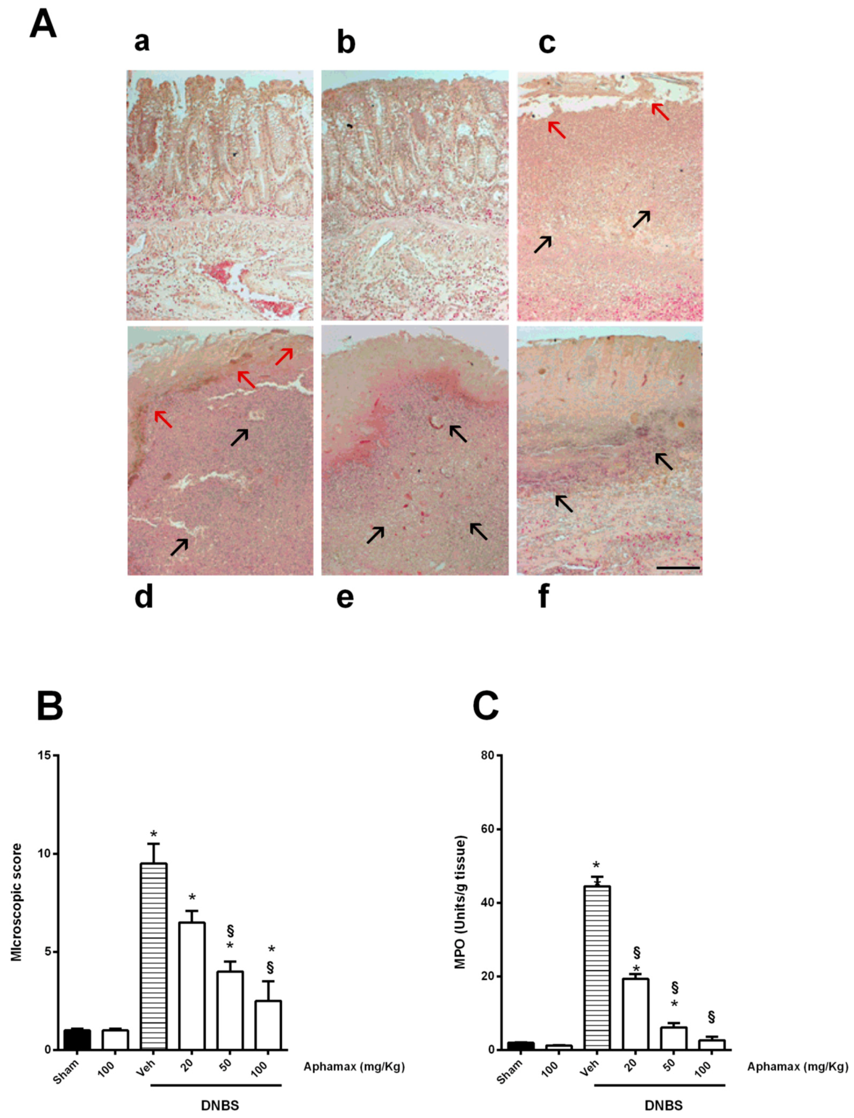 Nutrients 12 03635 g002 Nutrients 12 03635 g002