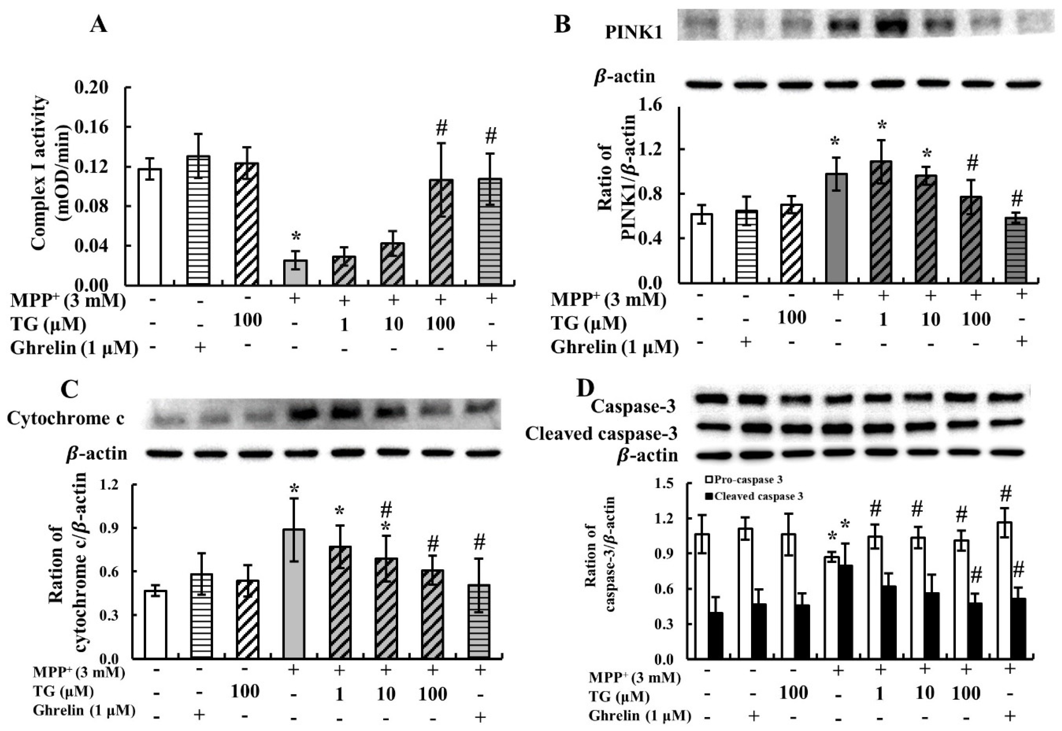 Nutrients 12 03665 g002 Nutrients 12 03665 g002