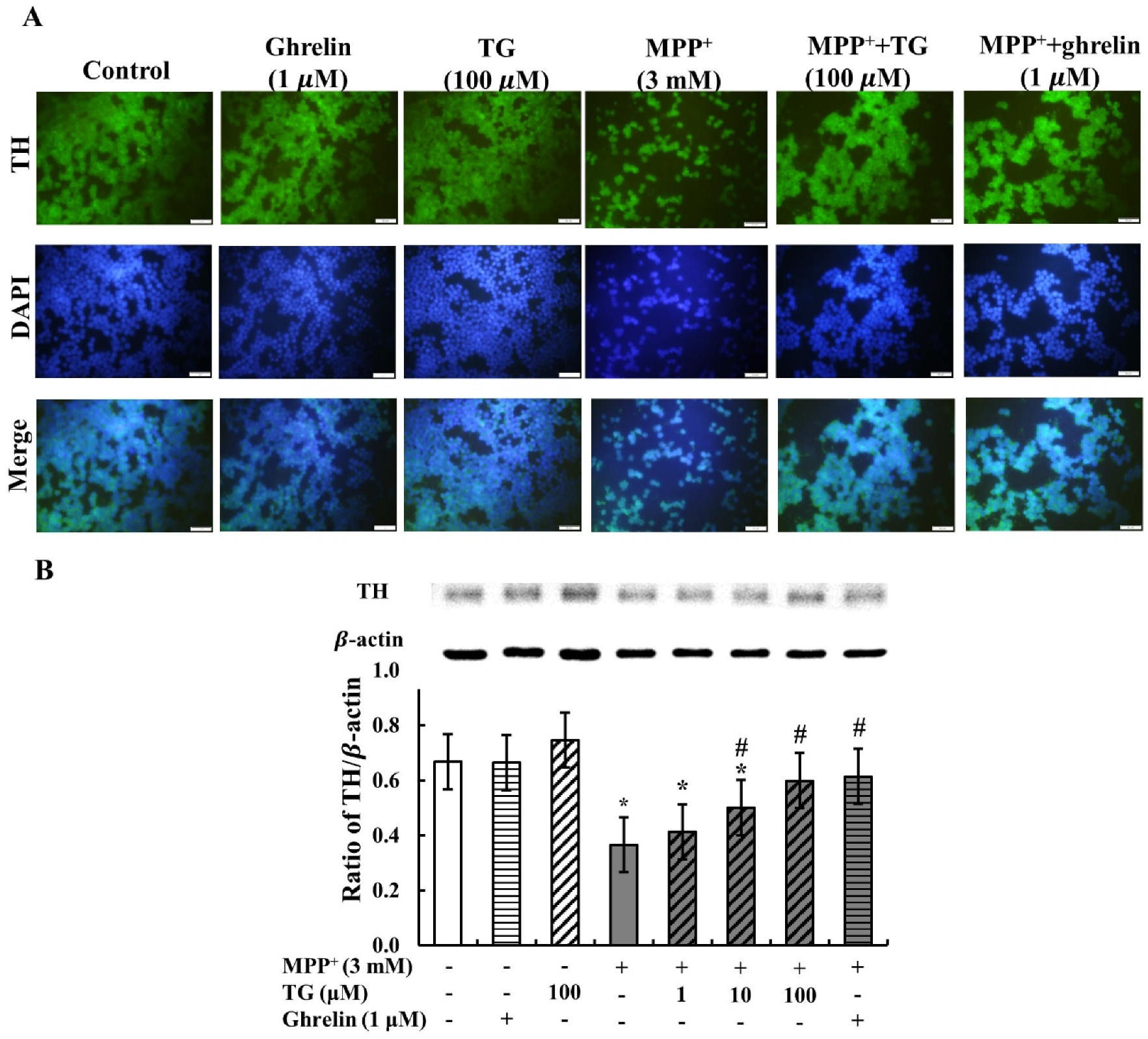 Nutrients 12 03665 g003 Nutrients 12 03665 g003