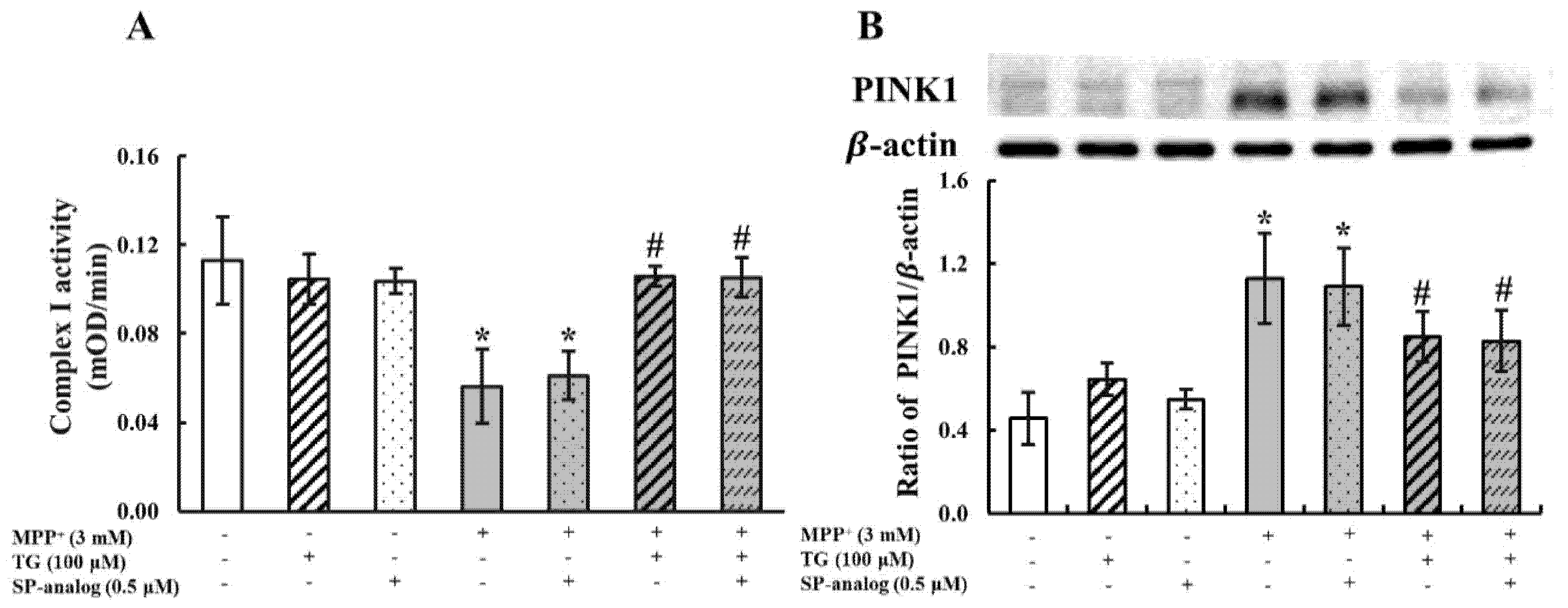 Nutrients 12 03665 g005 Nutrients 12 03665 g005