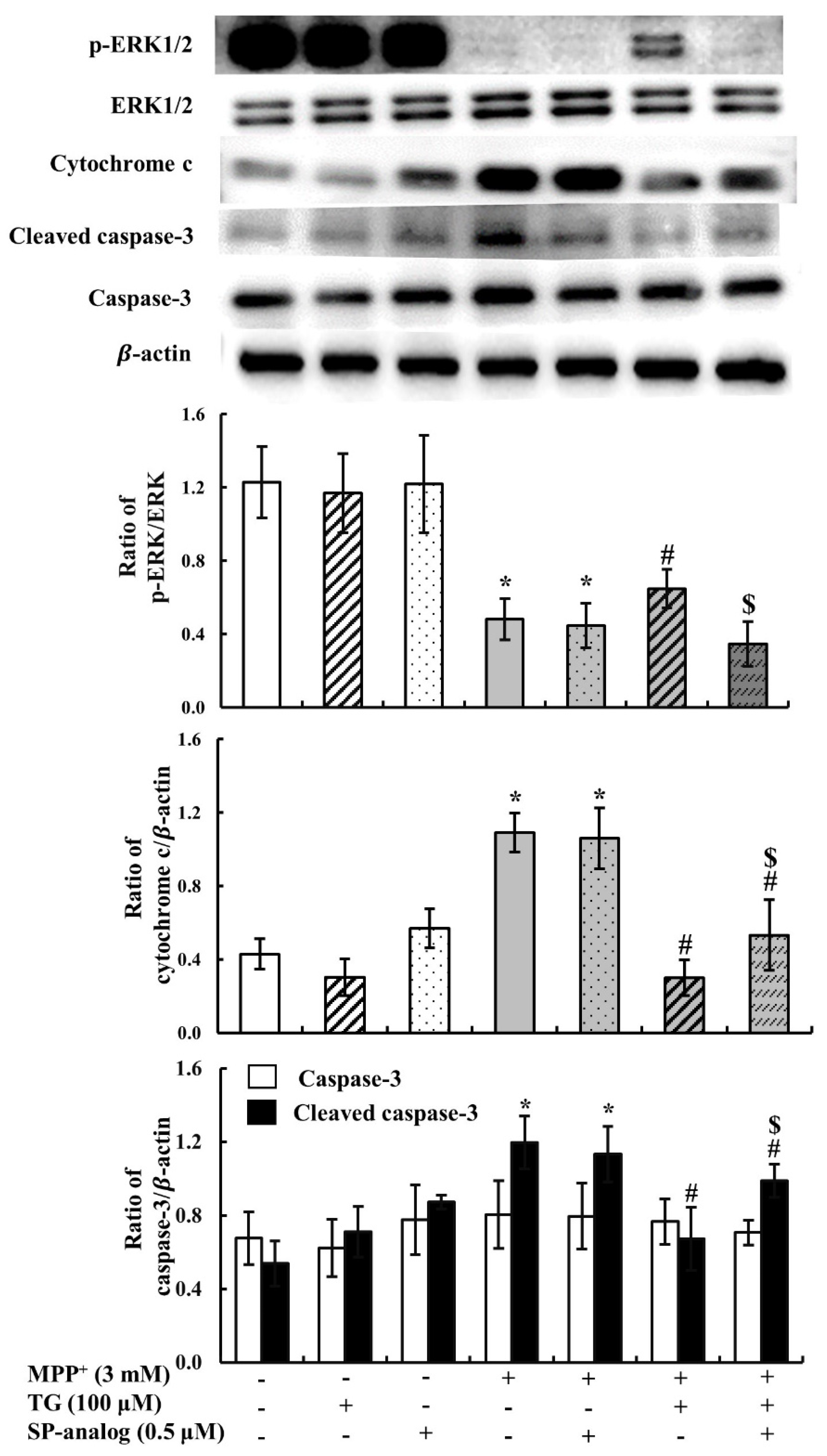 Nutrients 12 03665 g006 Nutrients 12 03665 g006