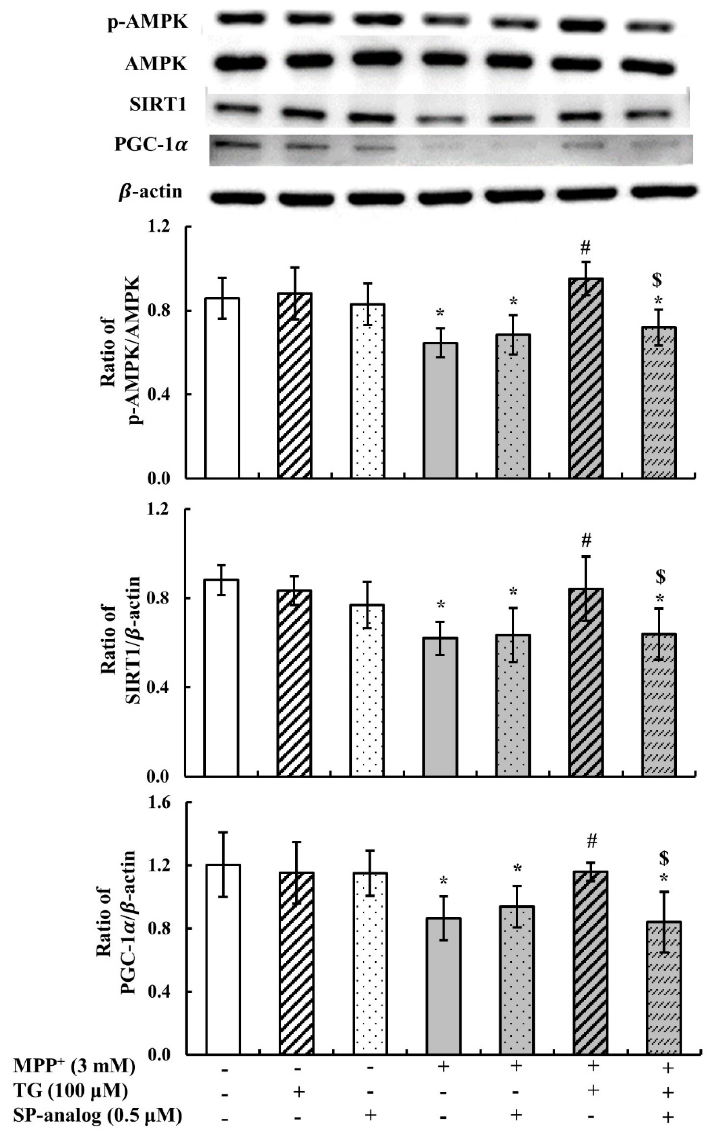 Nutrients 12 03665 g007 Nutrients 12 03665 g007