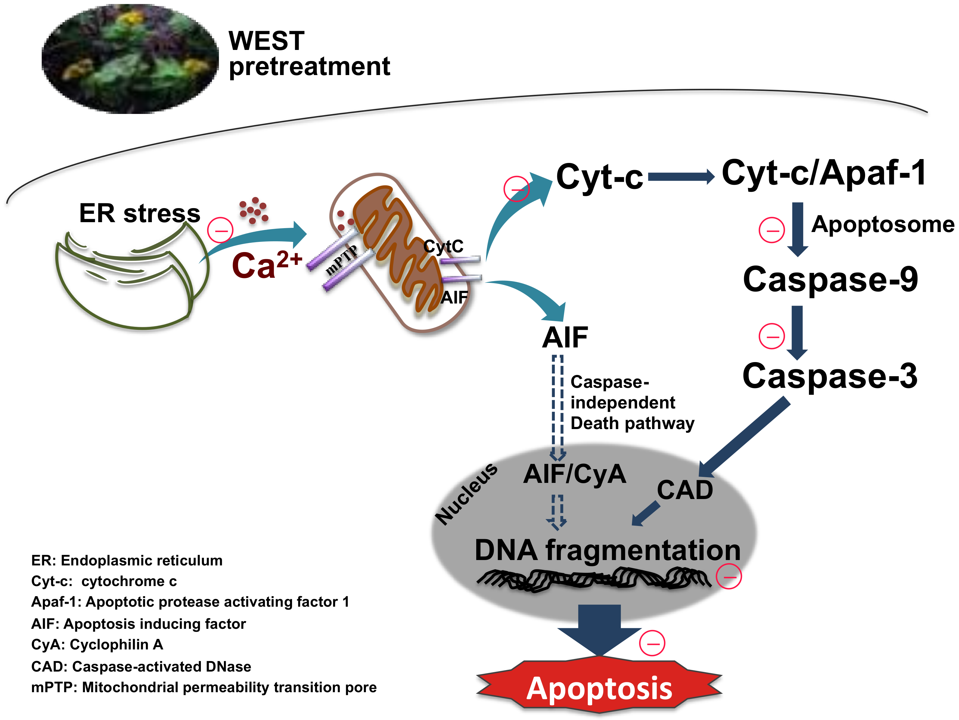 Nutrients 12 03713 g008 Nutrients 12 03713 g008