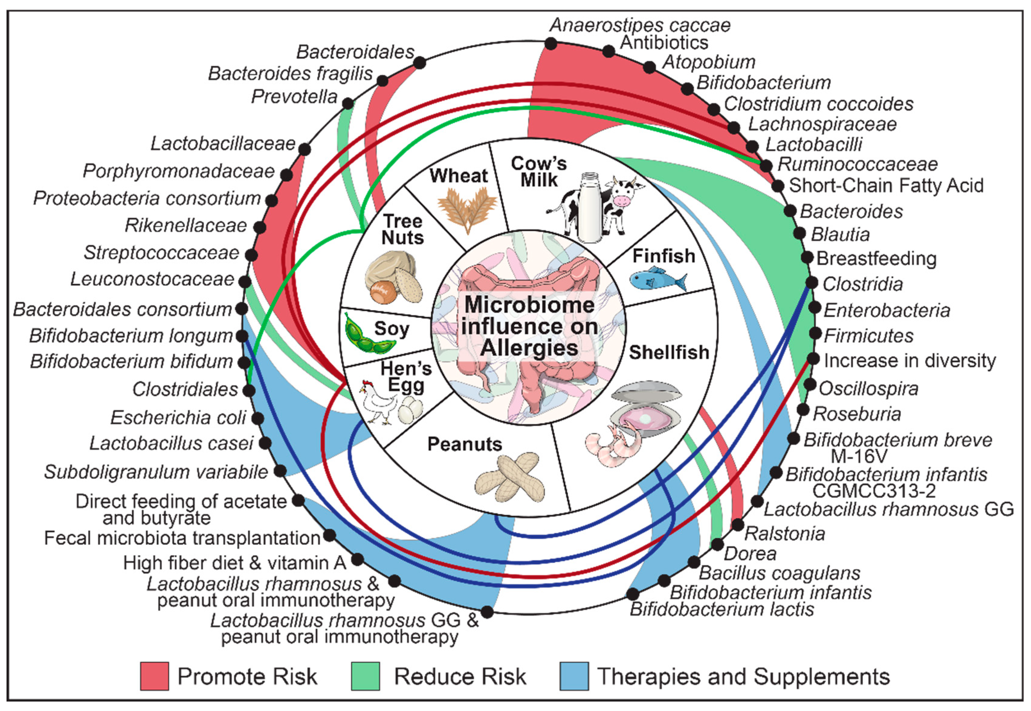 Nutrients 12 03728 g001