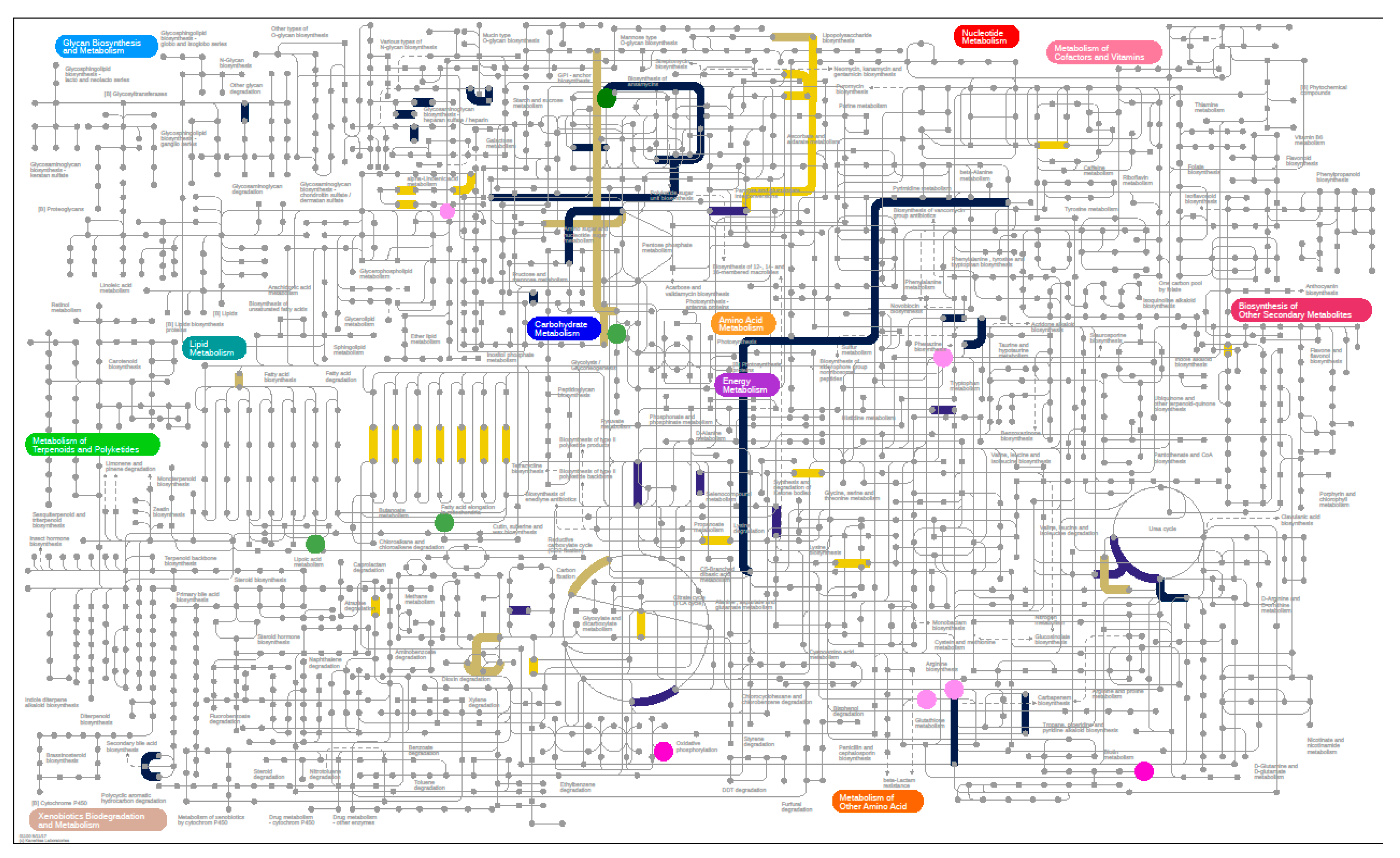 Nutrients 12 03749 g005 Nutrients 12 03749 g005