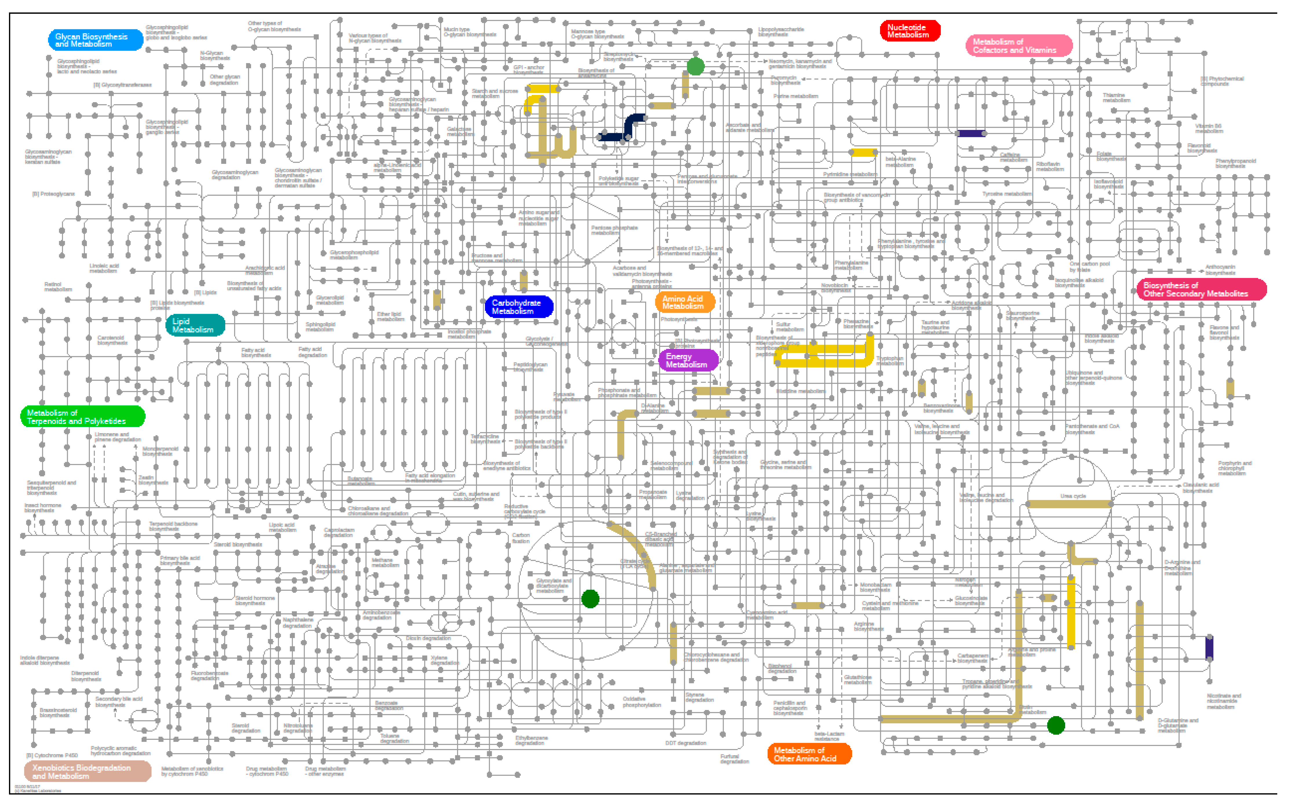 Nutrients 12 03749 g006 Nutrients 12 03749 g006