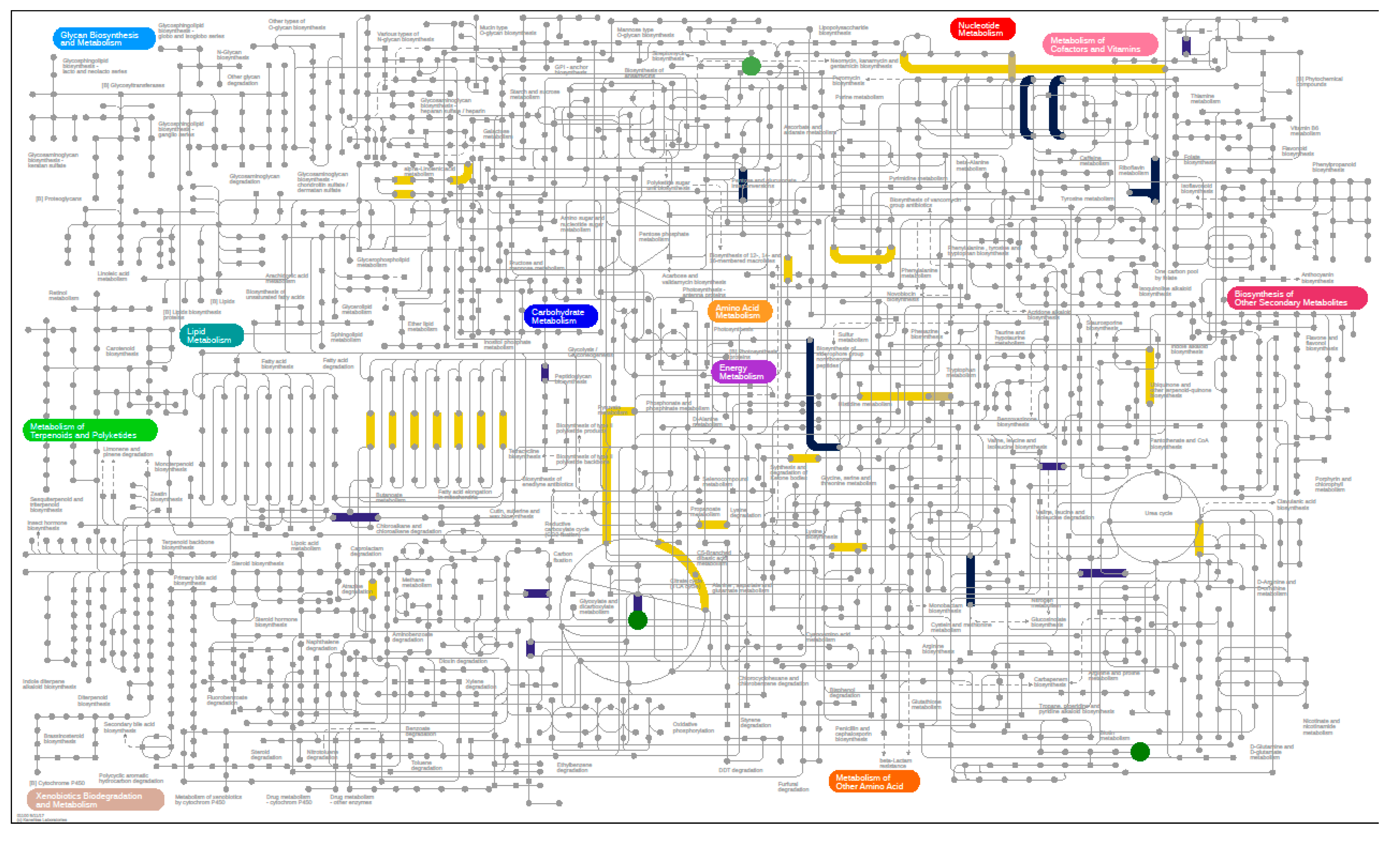 Nutrients 12 03749 g007 Nutrients 12 03749 g007