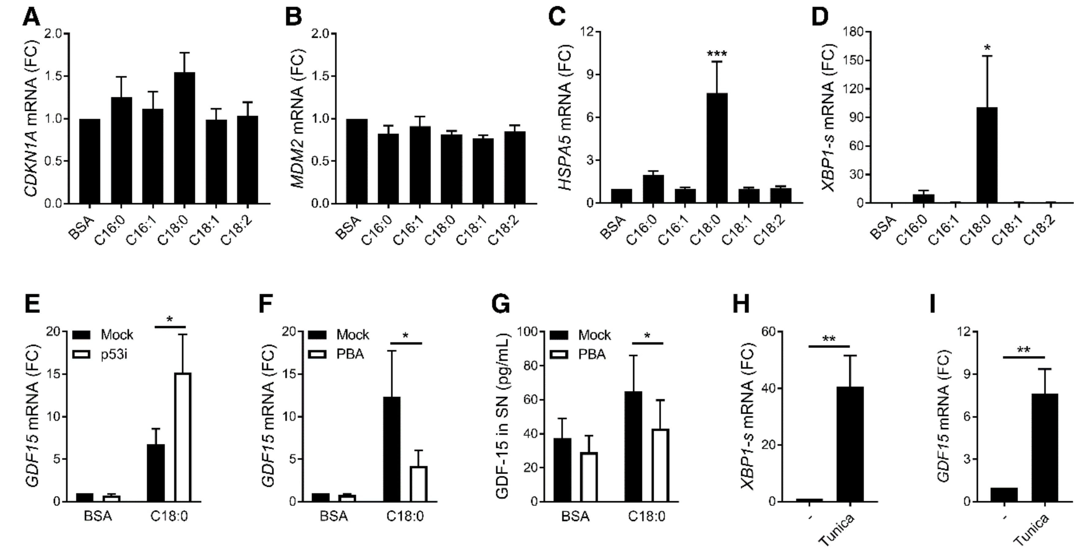 Nutrients 12 03771 g002 Nutrients 12 03771 g002