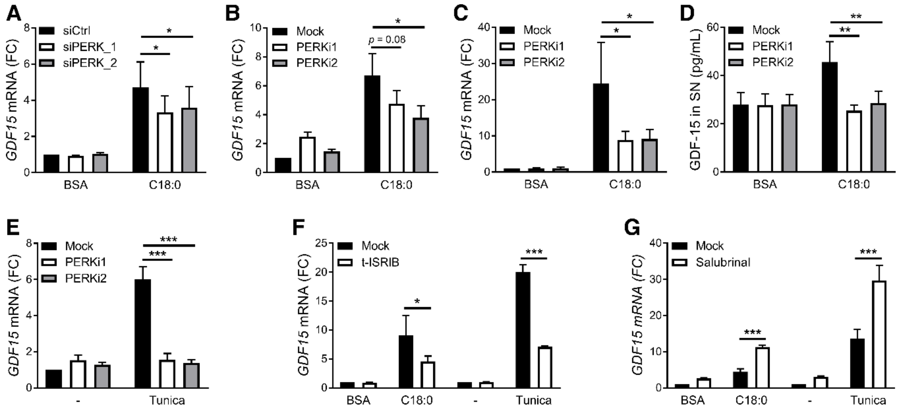 Nutrients 12 03771 g003 Nutrients 12 03771 g003