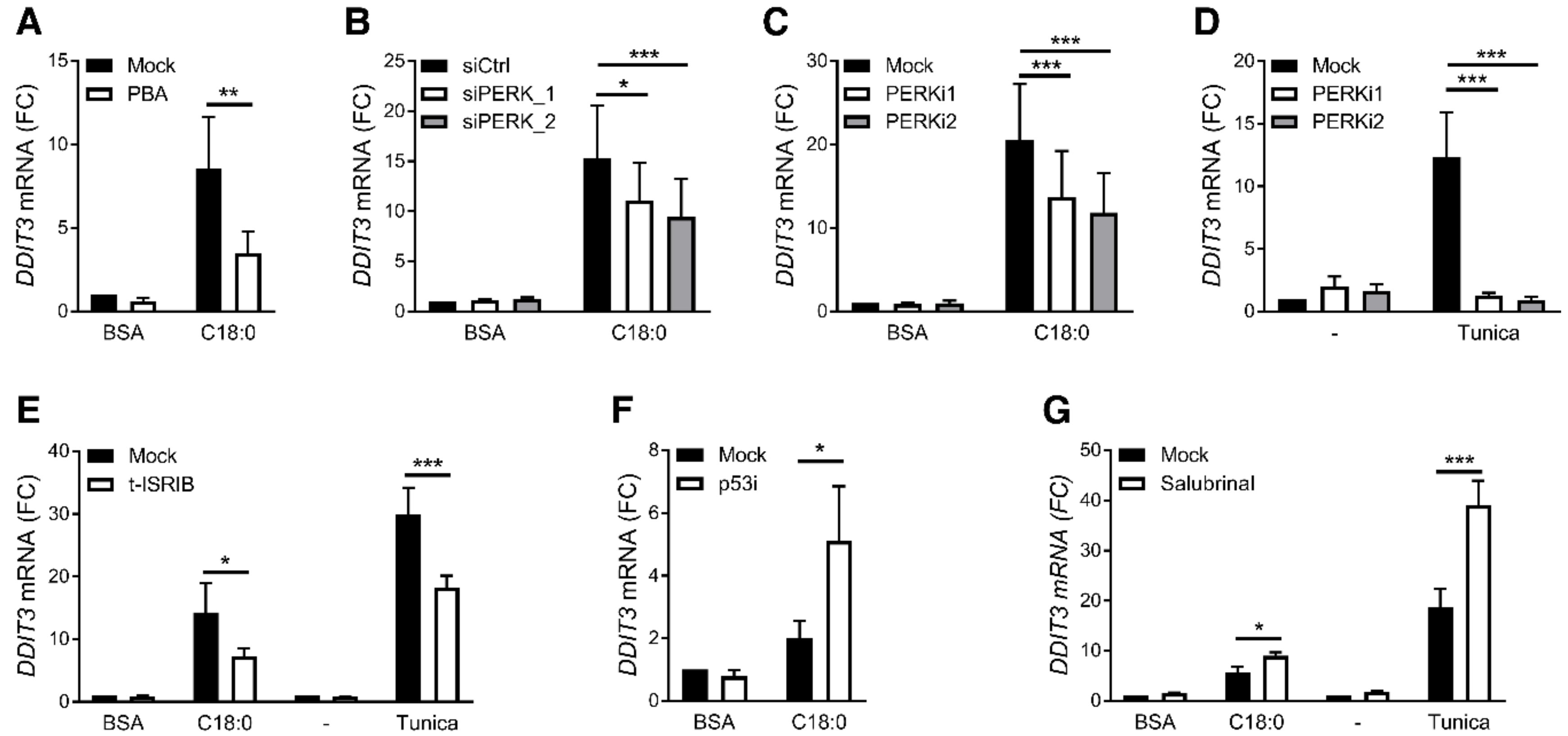 Nutrients 12 03771 g005 Nutrients 12 03771 g005