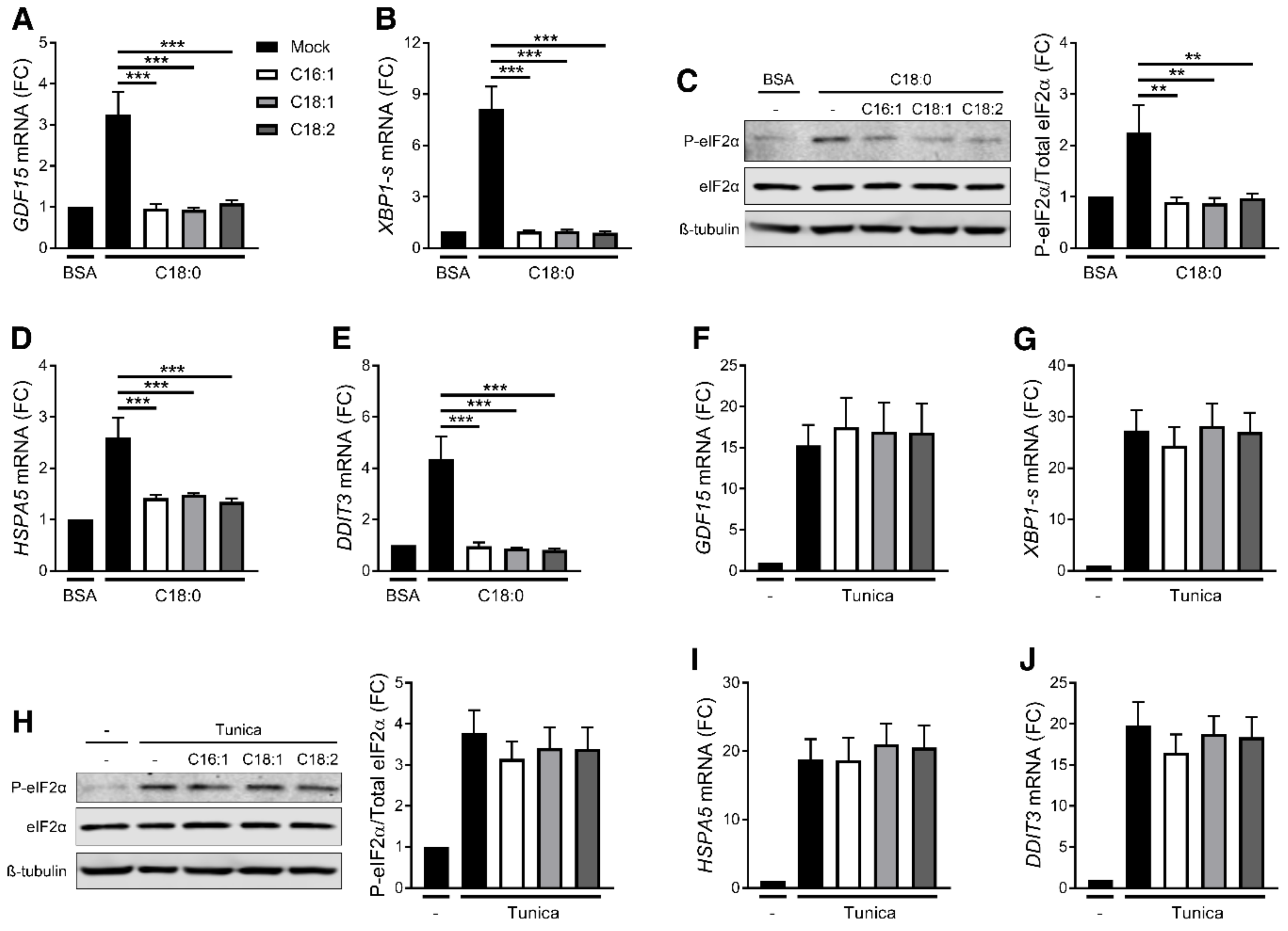 Nutrients 12 03771 g006 Nutrients 12 03771 g006