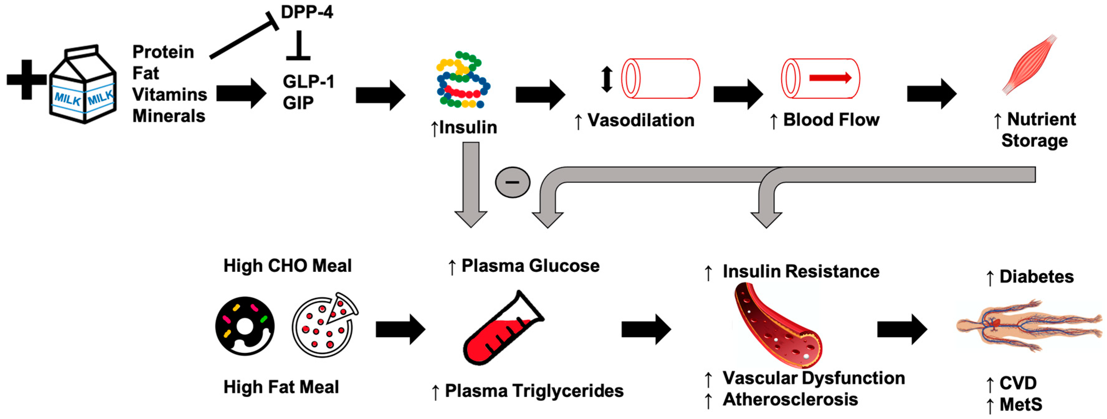 Nutrients 12 03806 g001