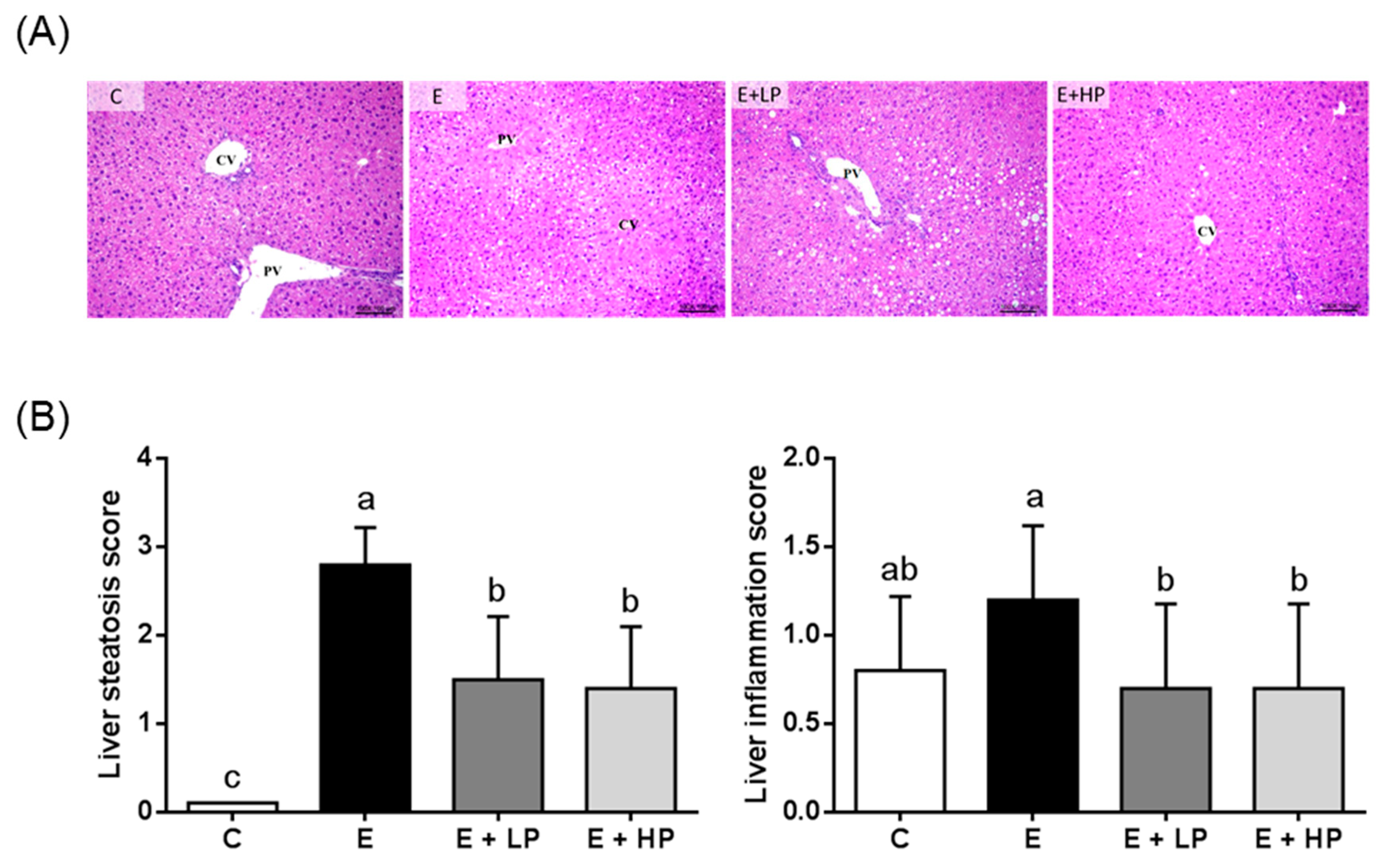 Nutrients 12 03884 g001