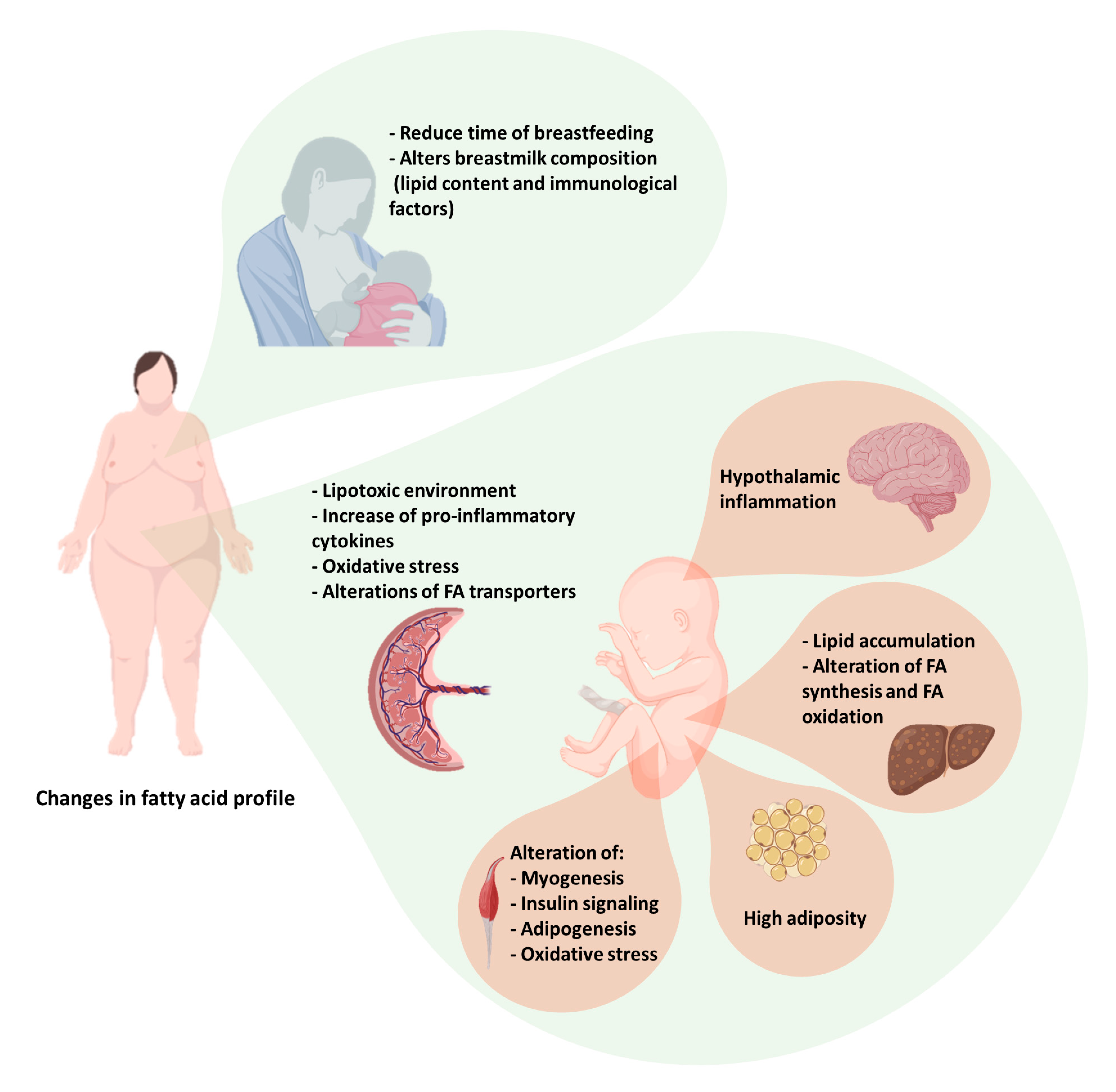Nutrients 13 00019 g001