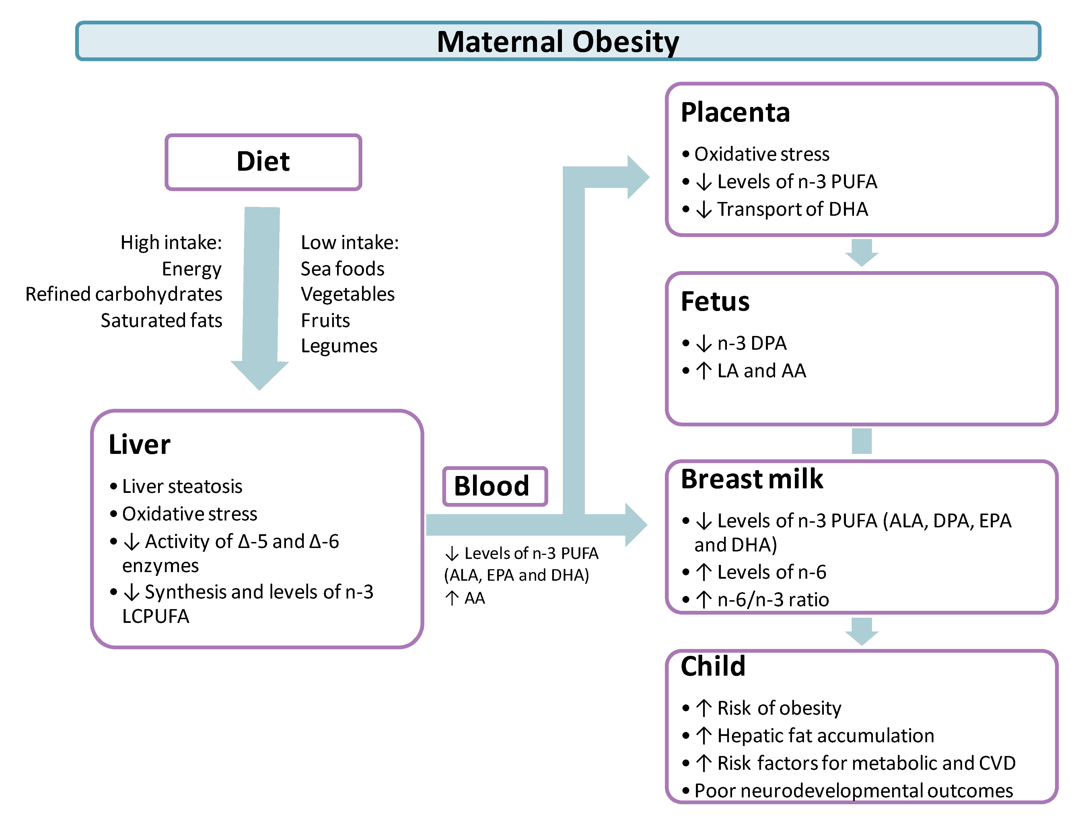 Nutrients 13 00019 g002