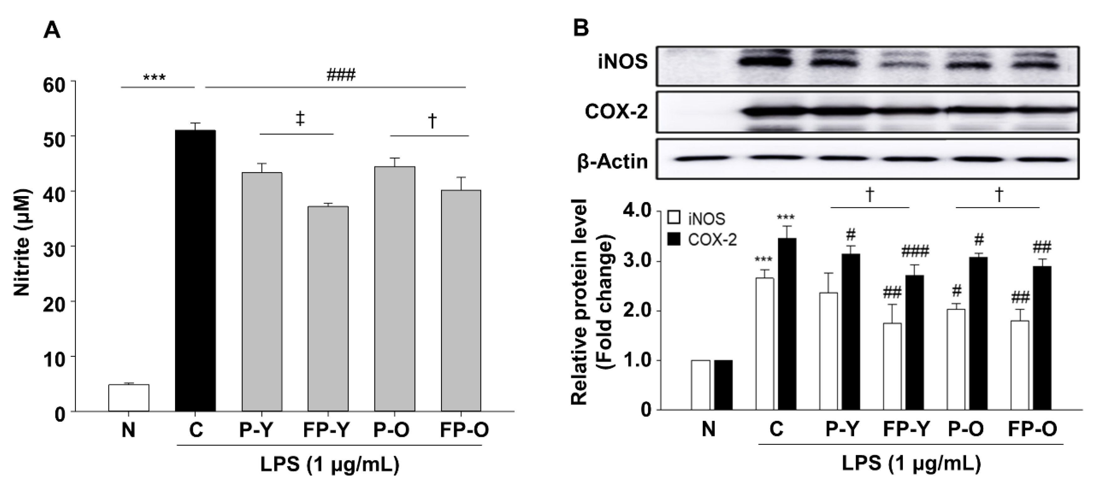 Nutrients 13 00025 g003