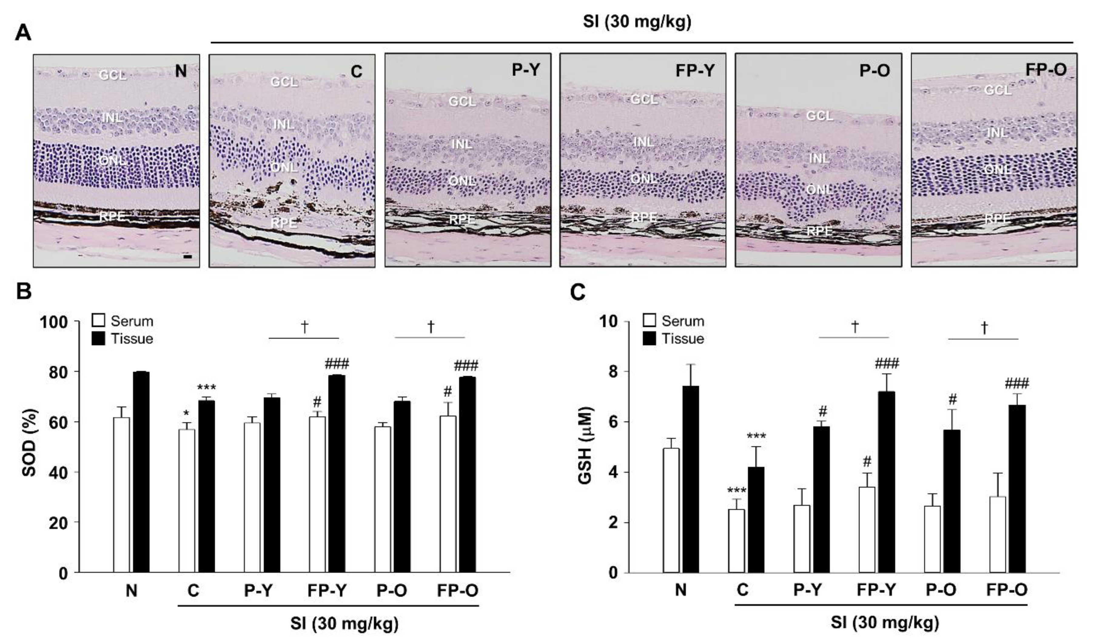 Nutrients 13 00025 g004