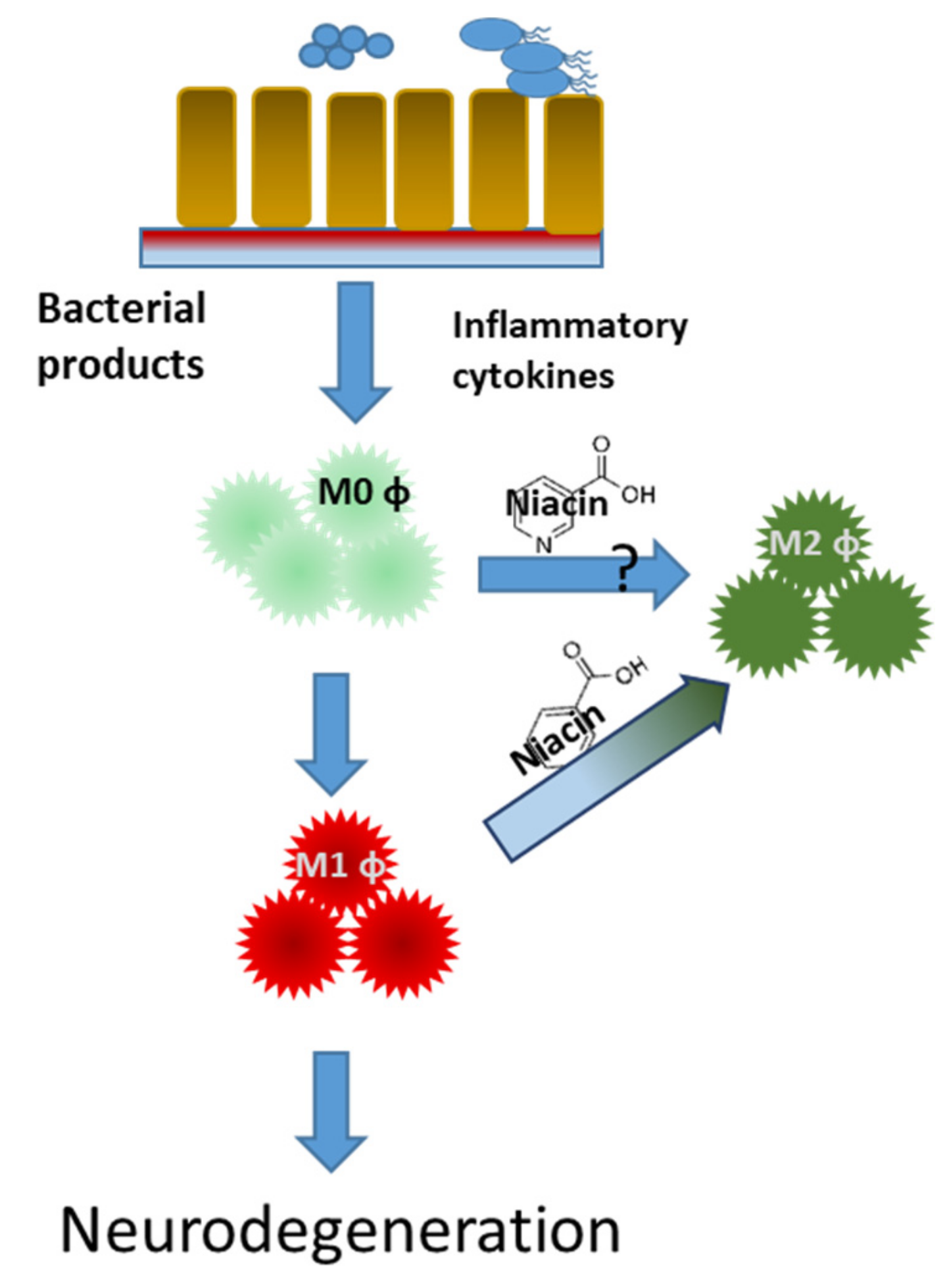 Nutrients 13 00028 g002