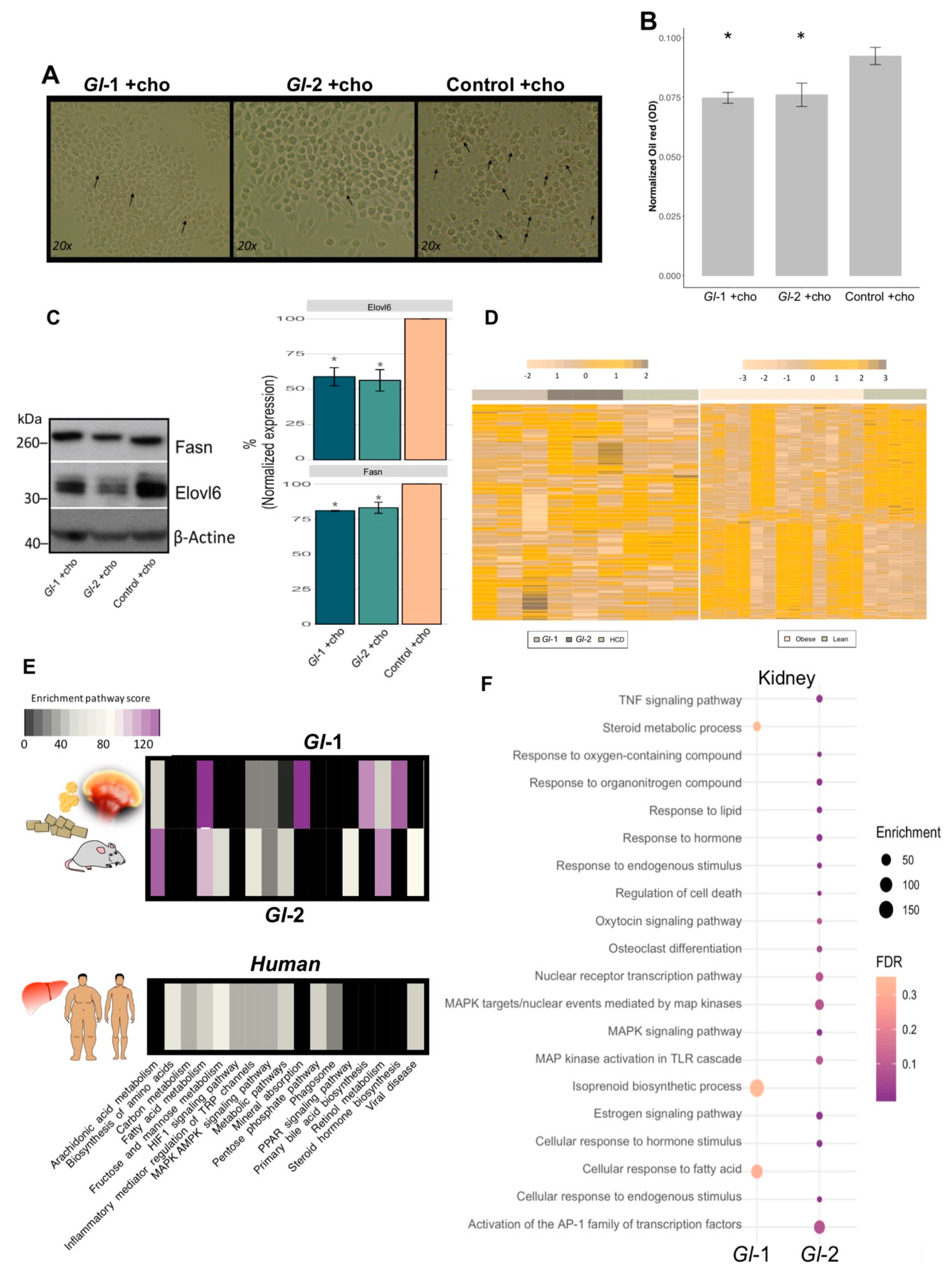 Nutrients 13 00038 g005
