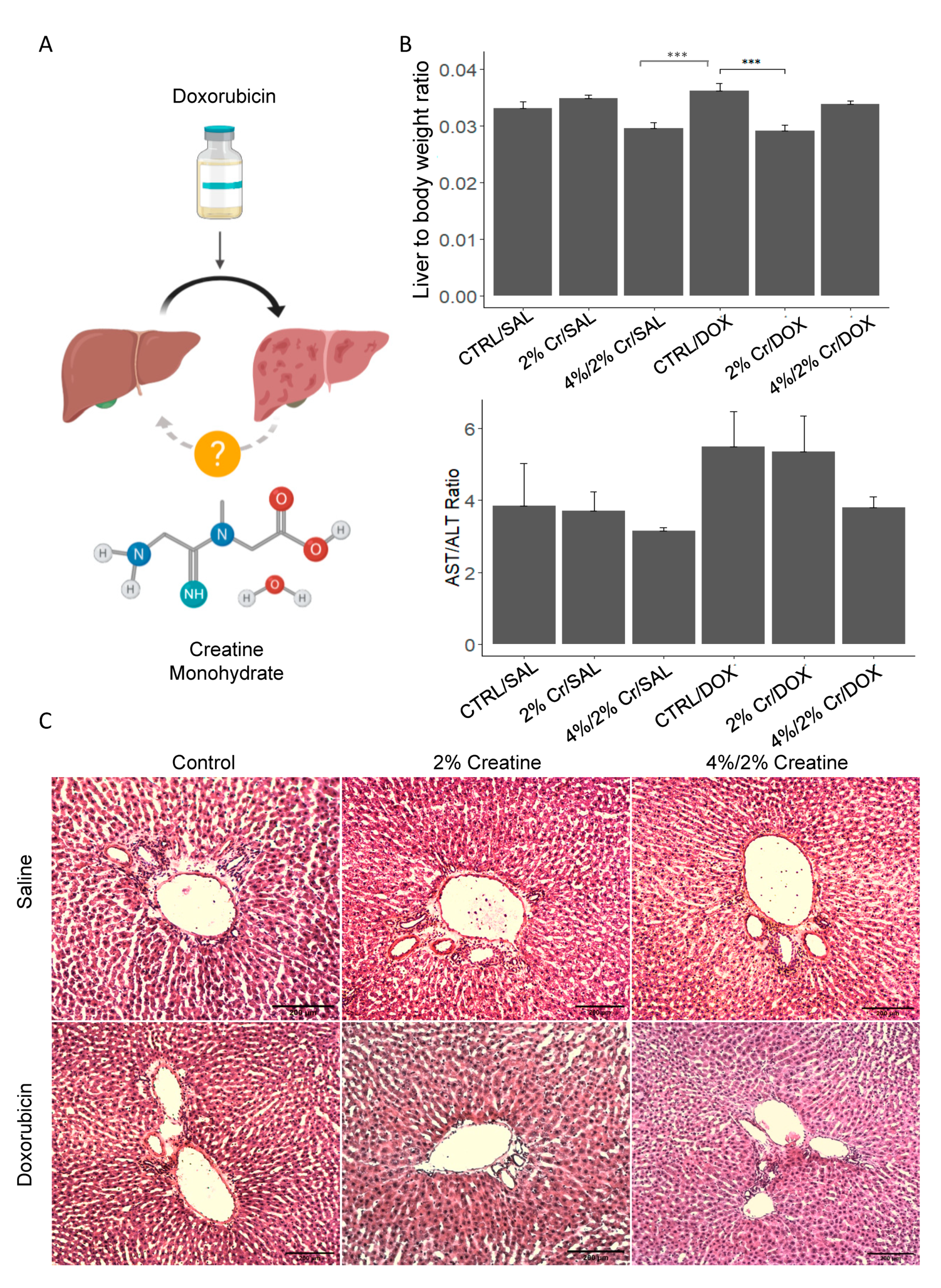 Nutrients 13 00041 g001