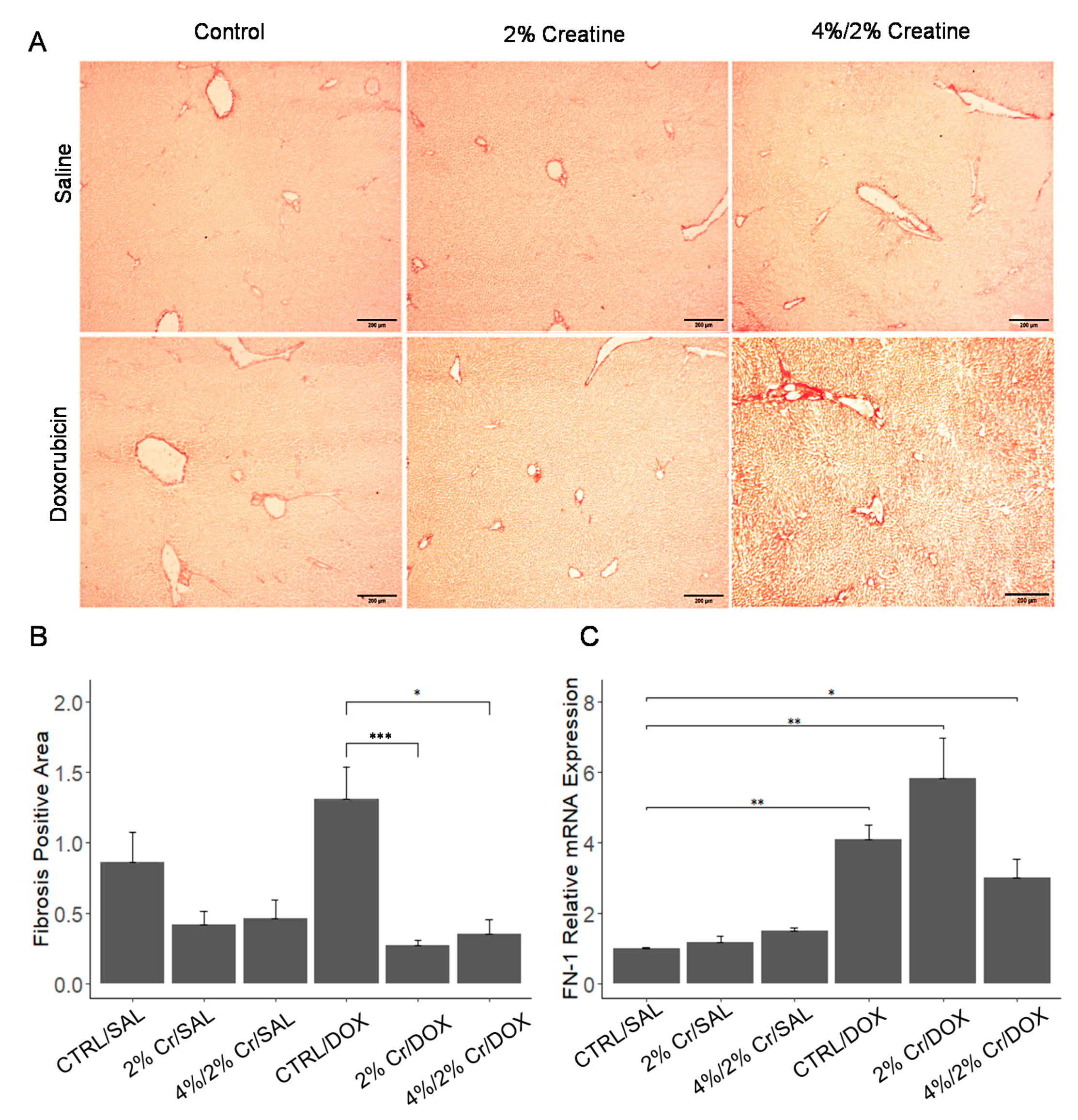 Nutrients 13 00041 g002