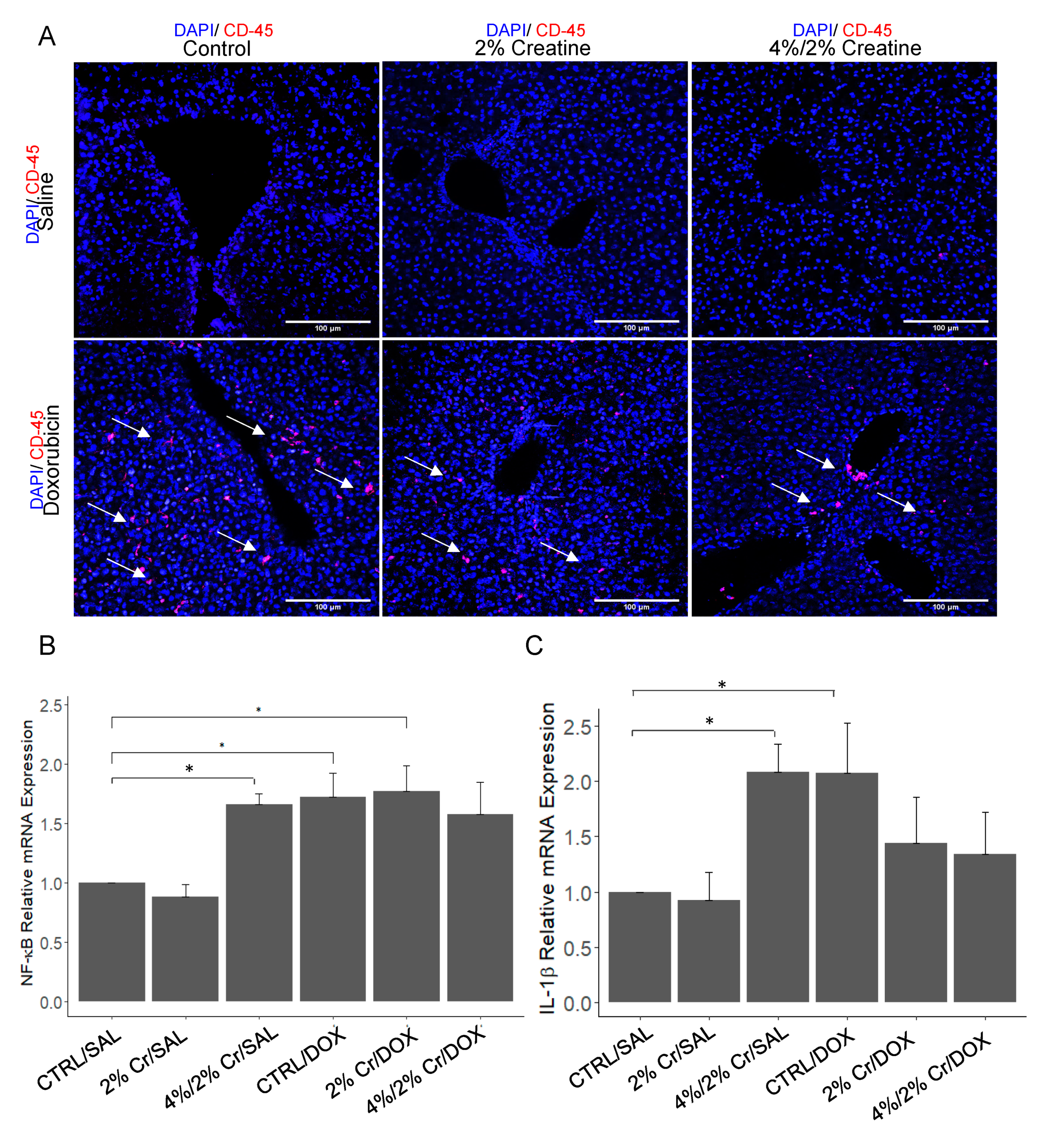 Nutrients 13 00041 g003