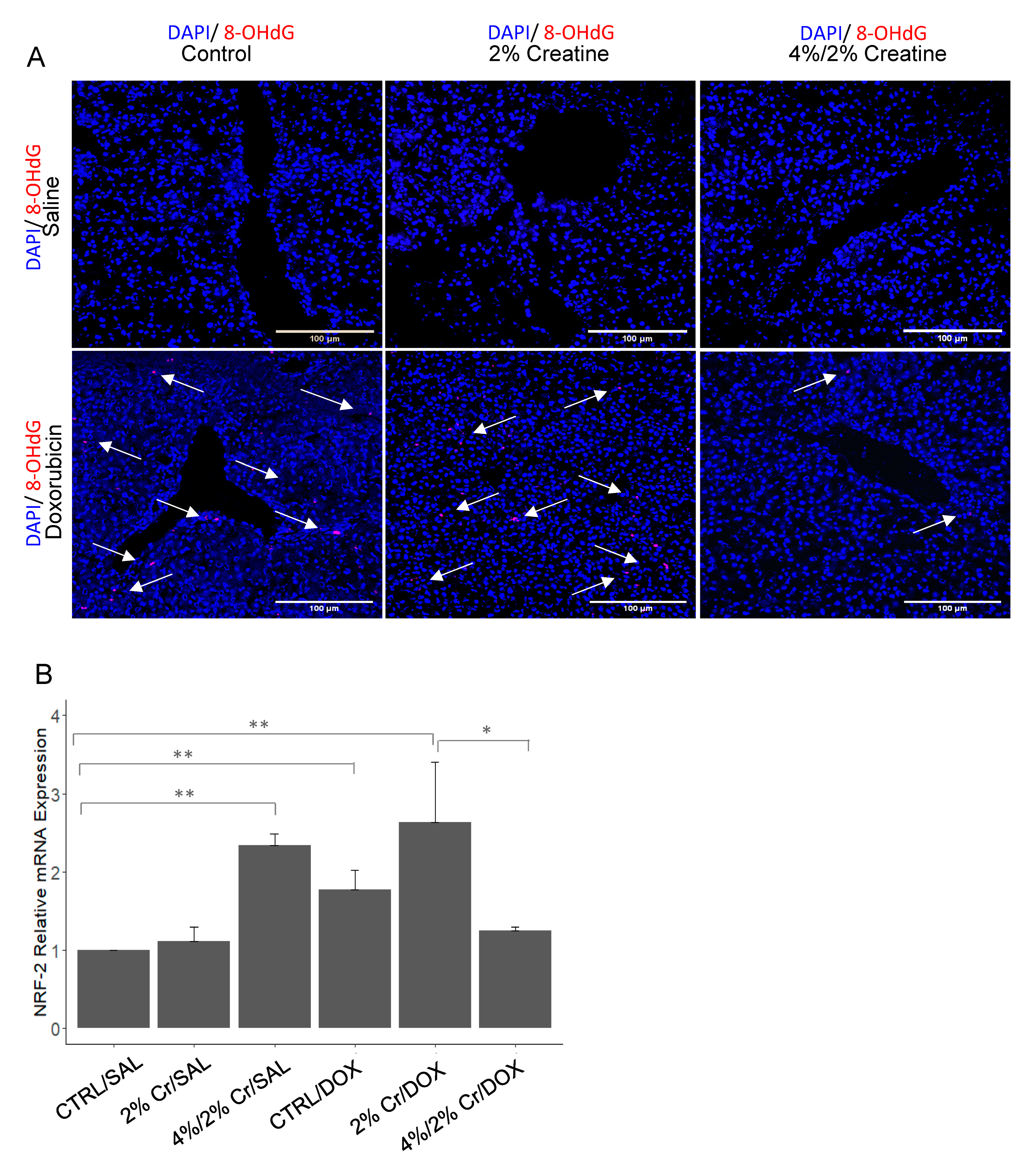Nutrients 13 00041 g004