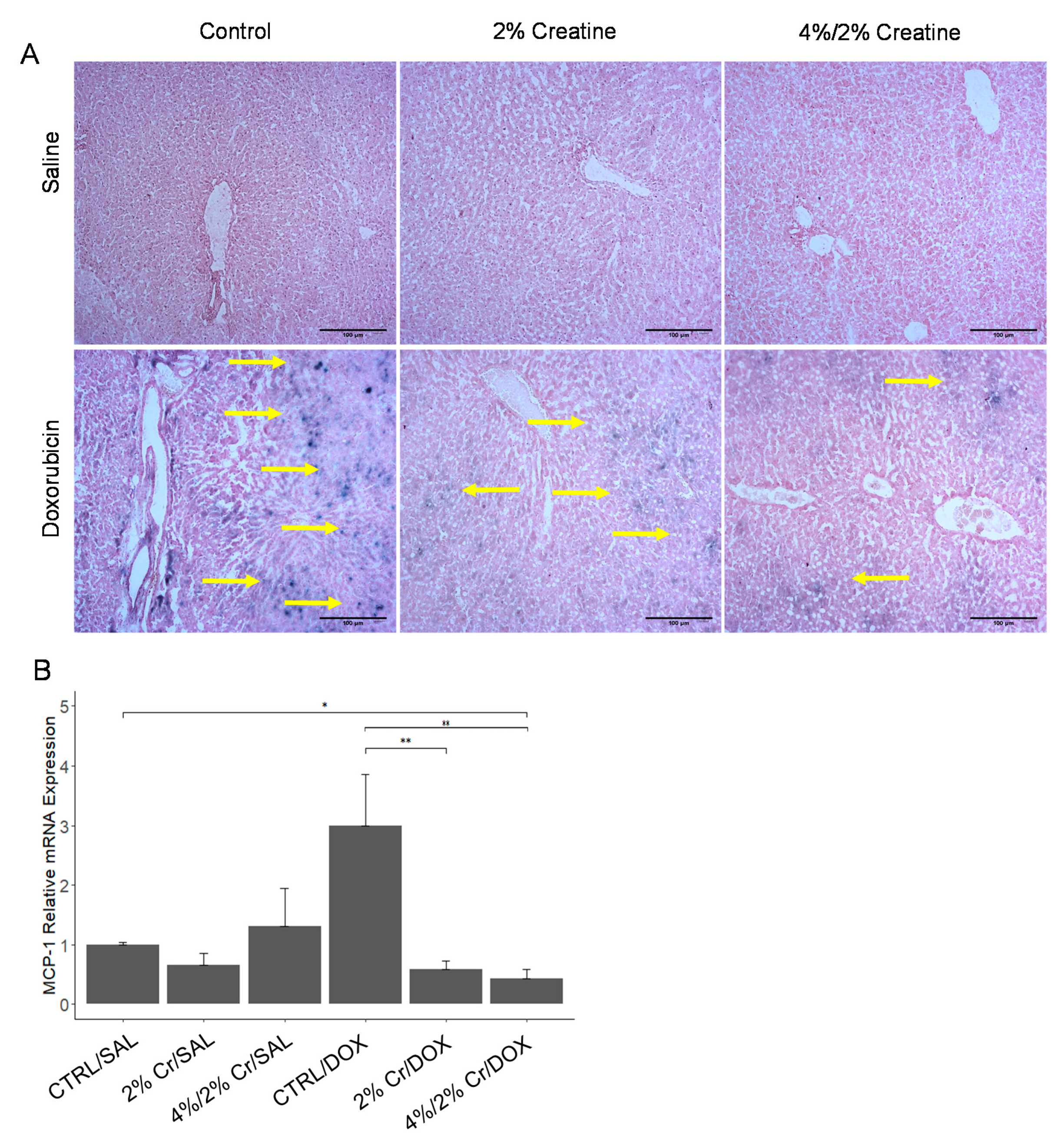 Nutrients 13 00041 g005