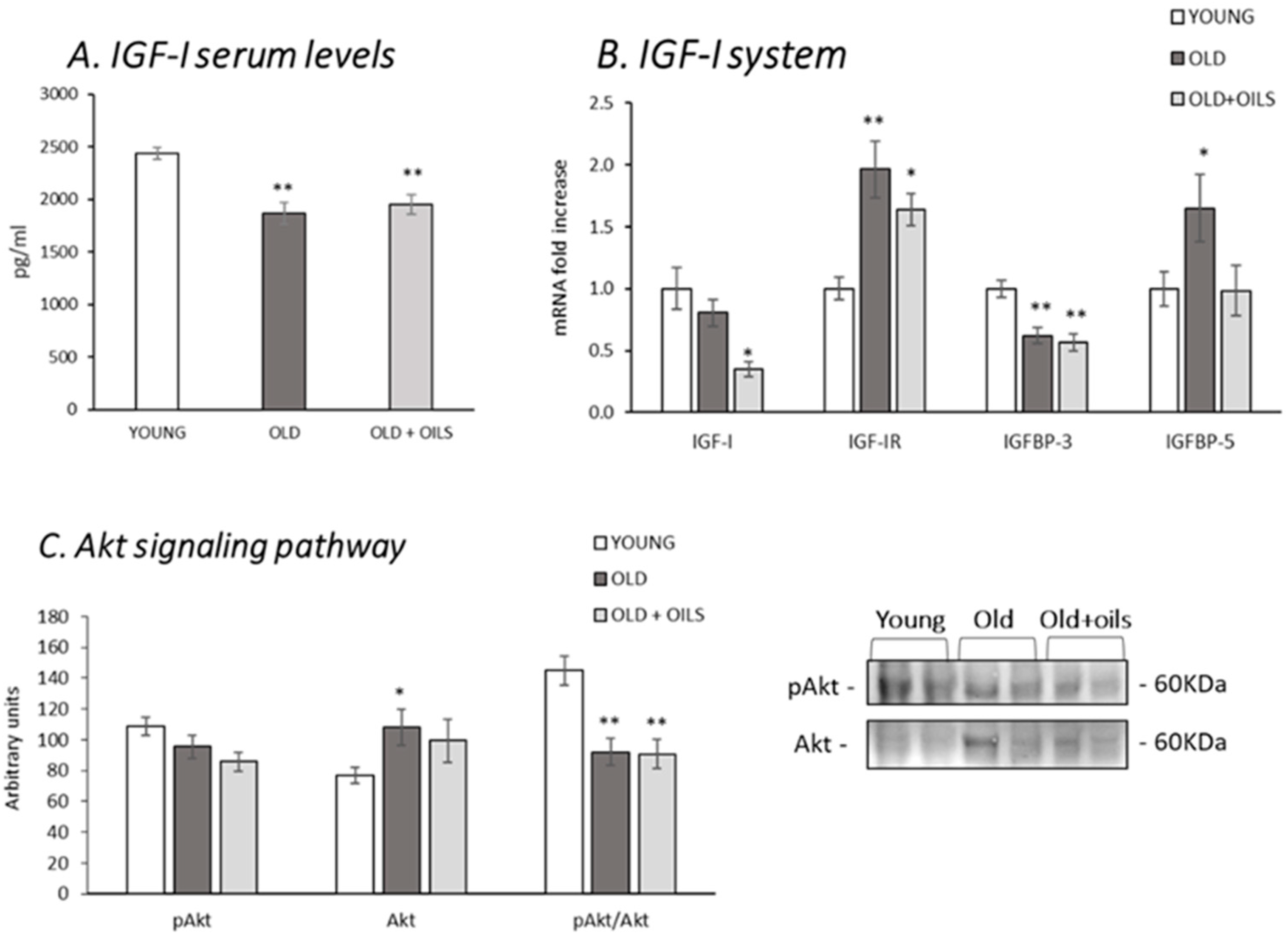 Nutrients 13 00044 g003