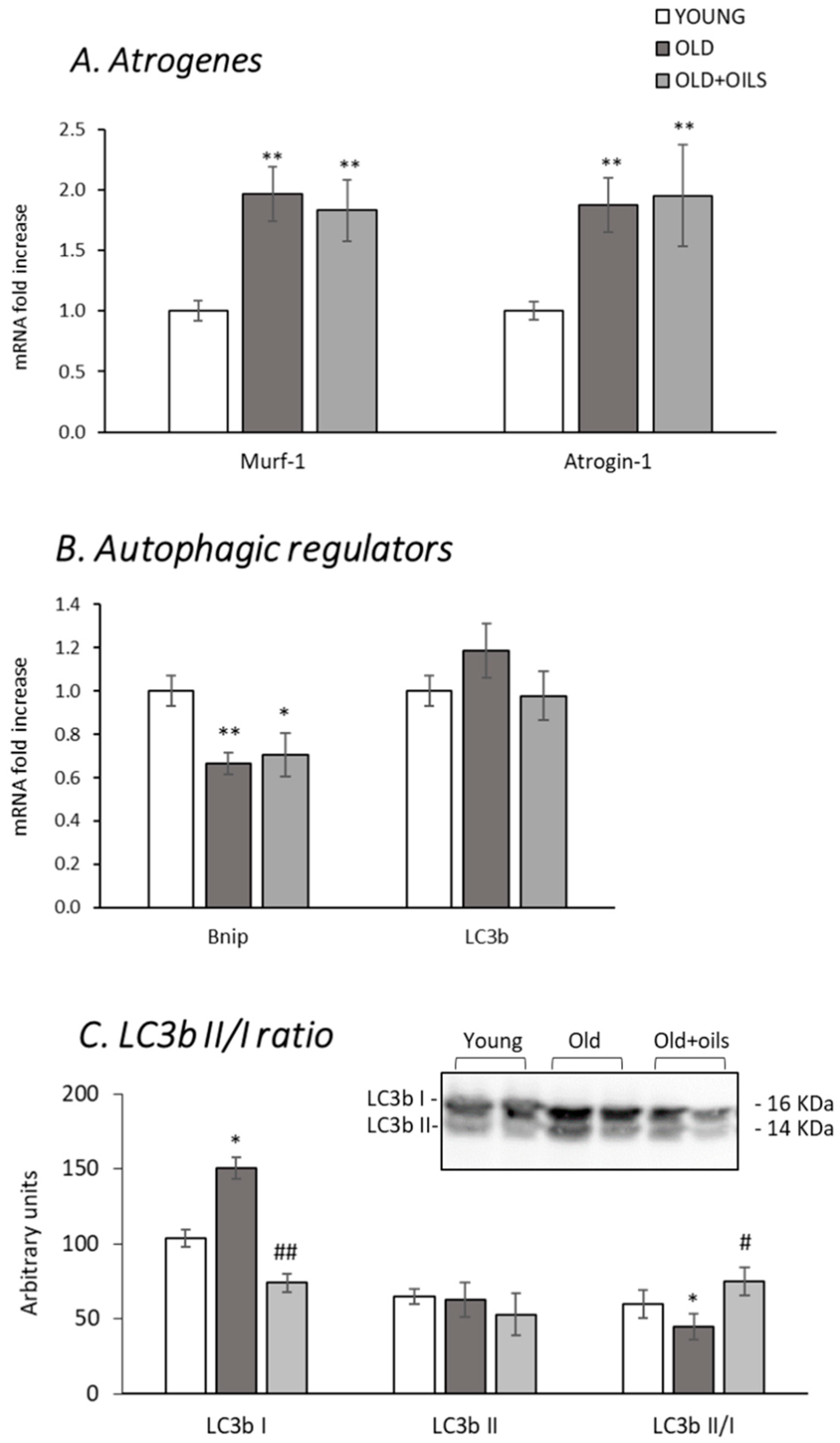 Nutrients 13 00044 g004