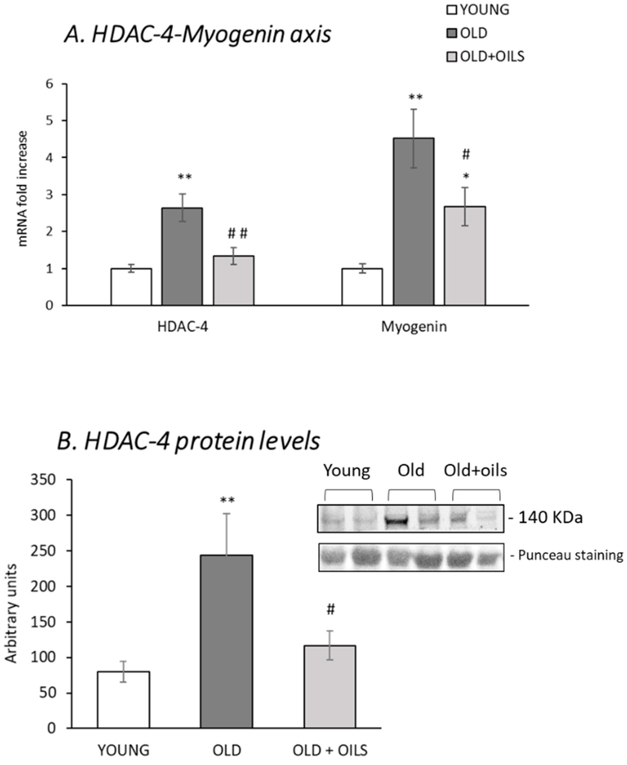 Nutrients 13 00044 g005