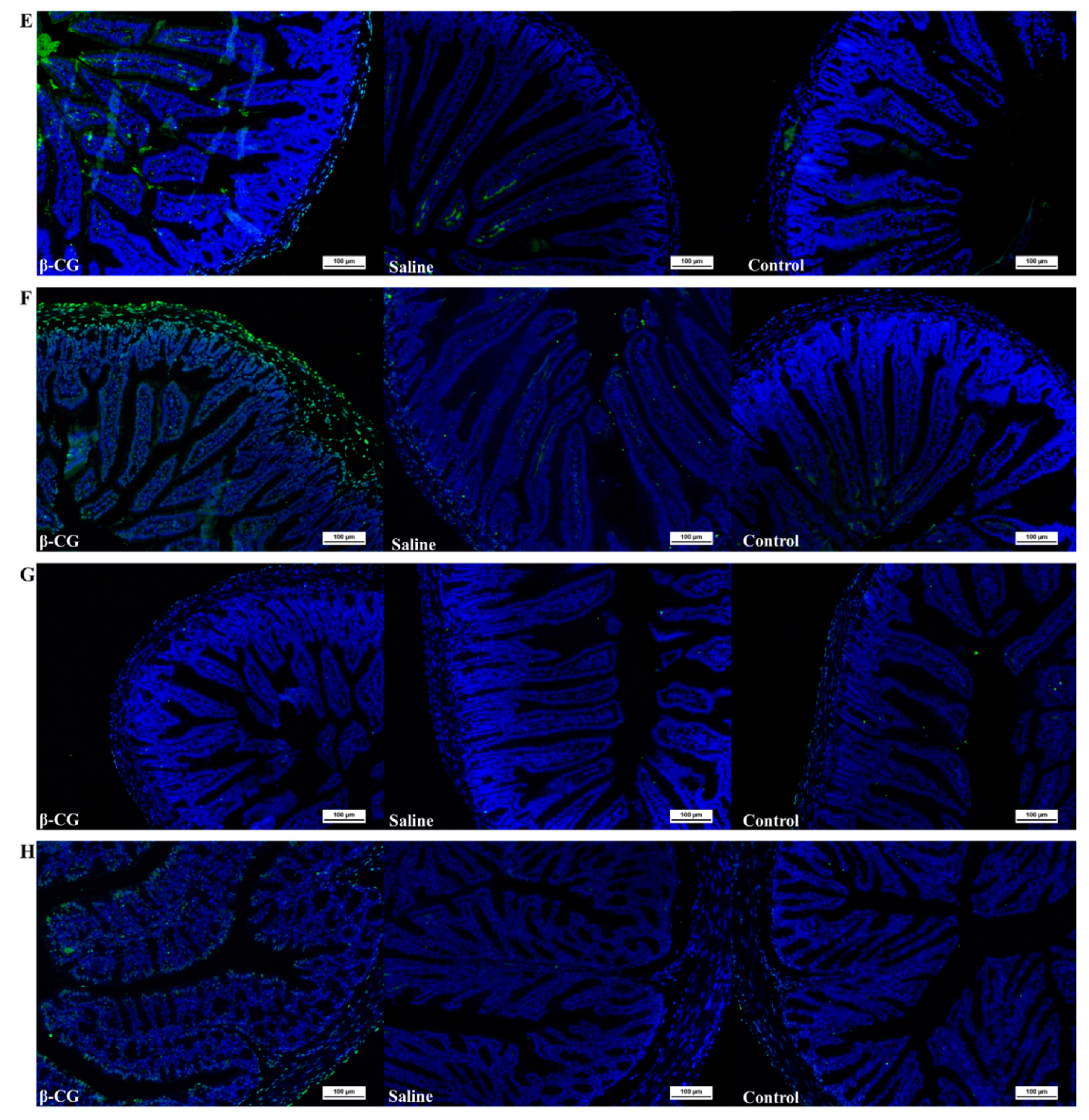 Nutrients 13 00055 g001b