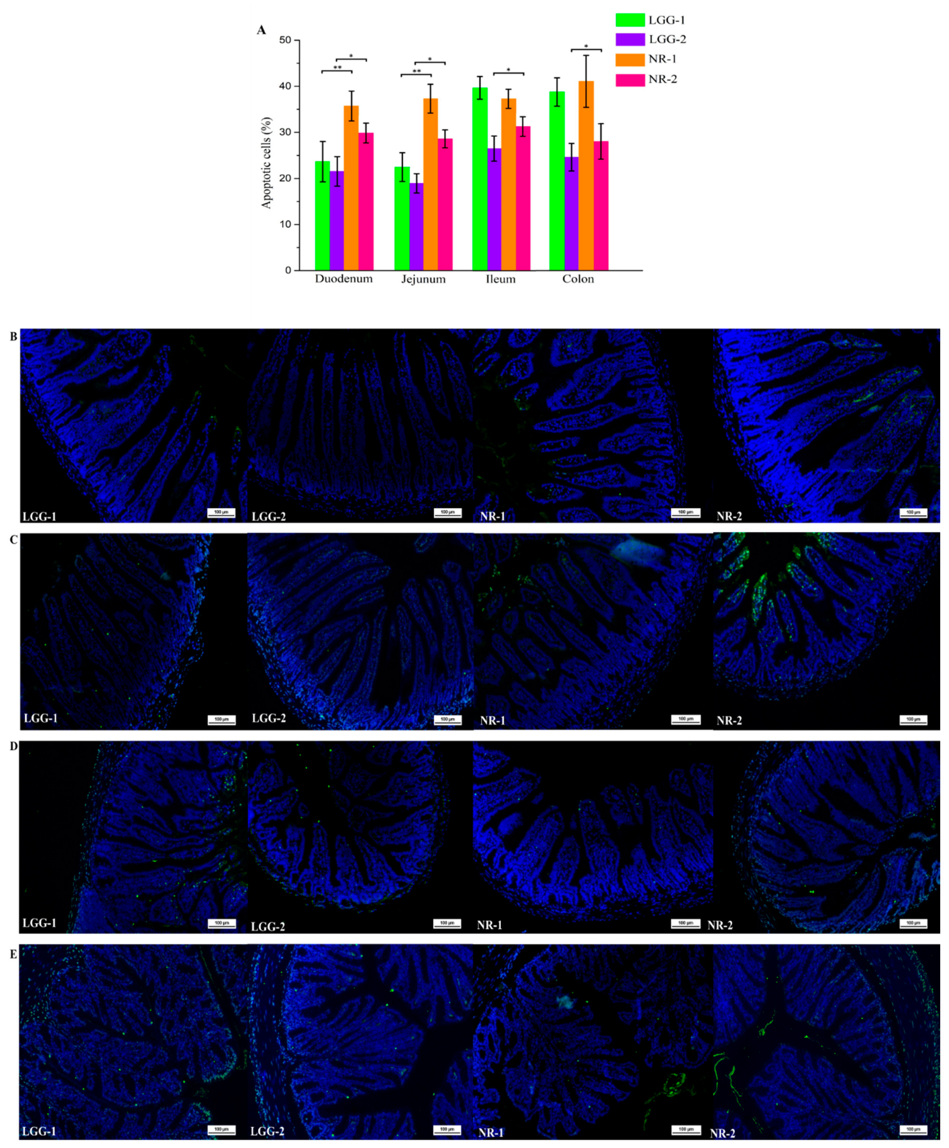 Nutrients 13 00055 g002