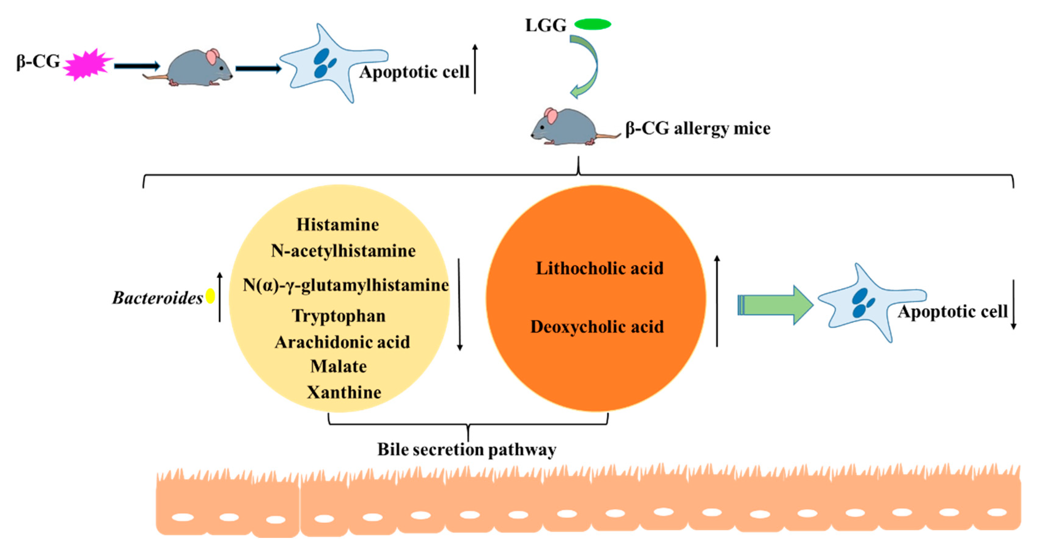 Nutrients 13 00055 g008