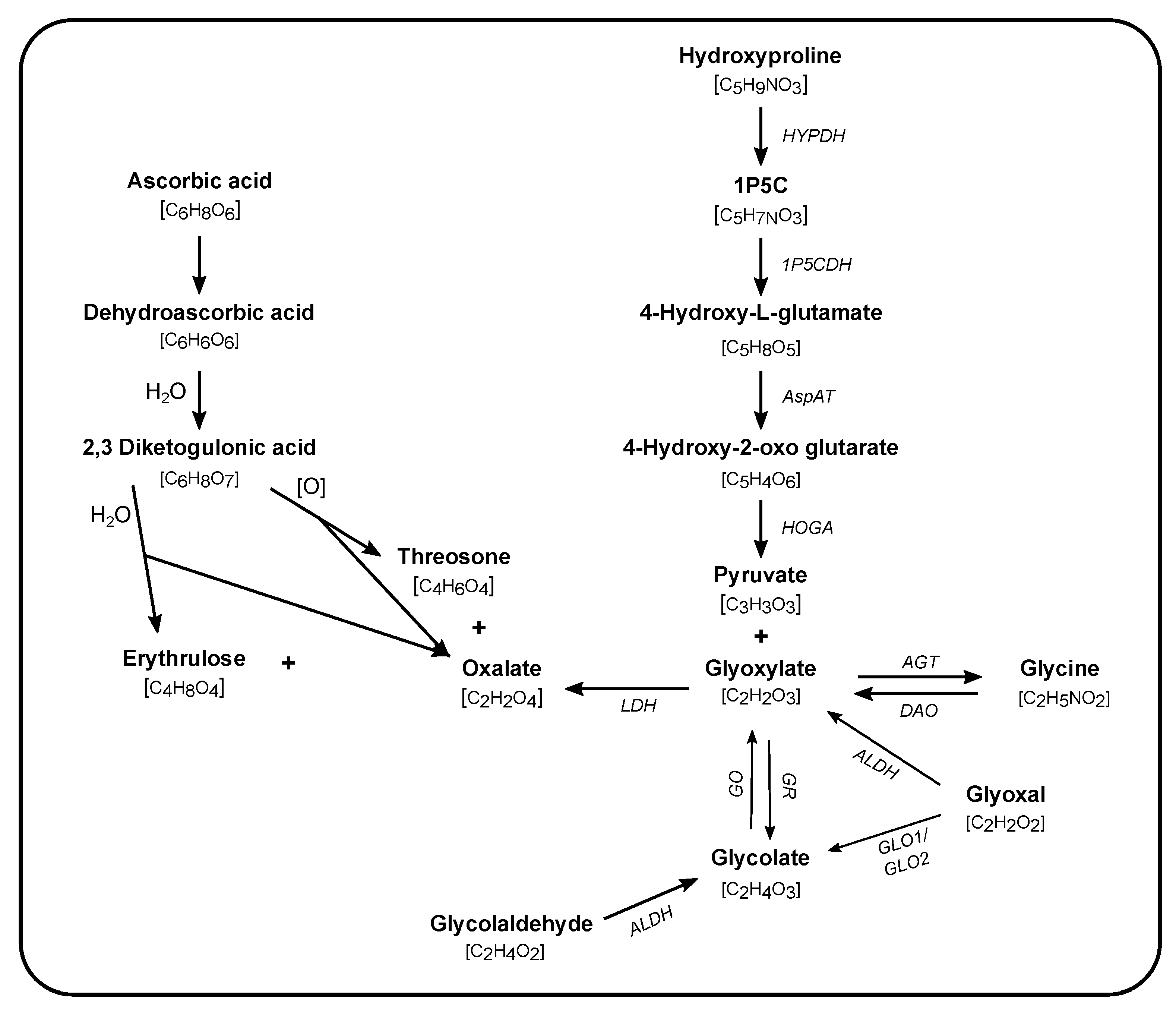 Nutrients 13 00062 g001