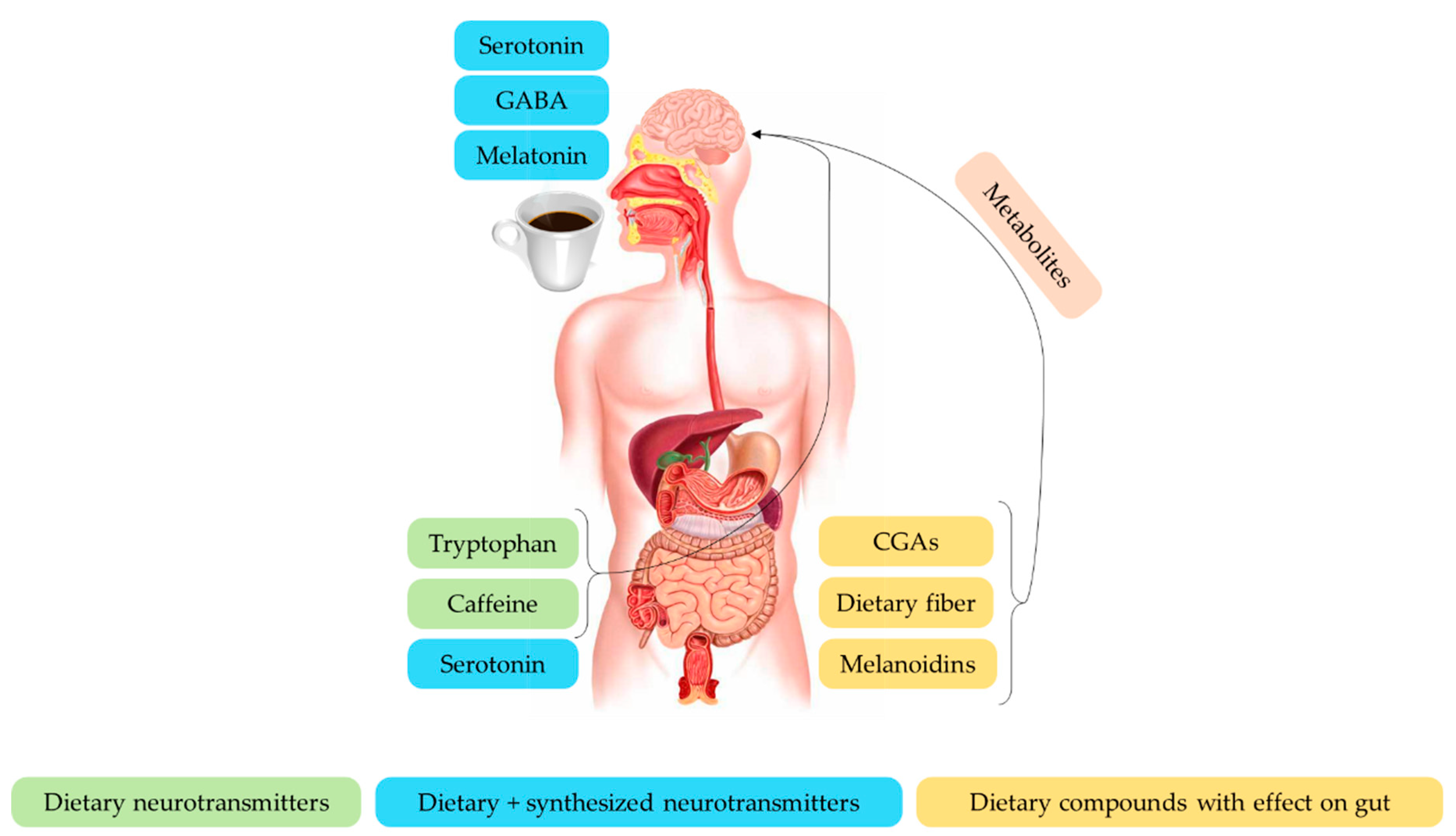 Nutrients 13 00088 g004