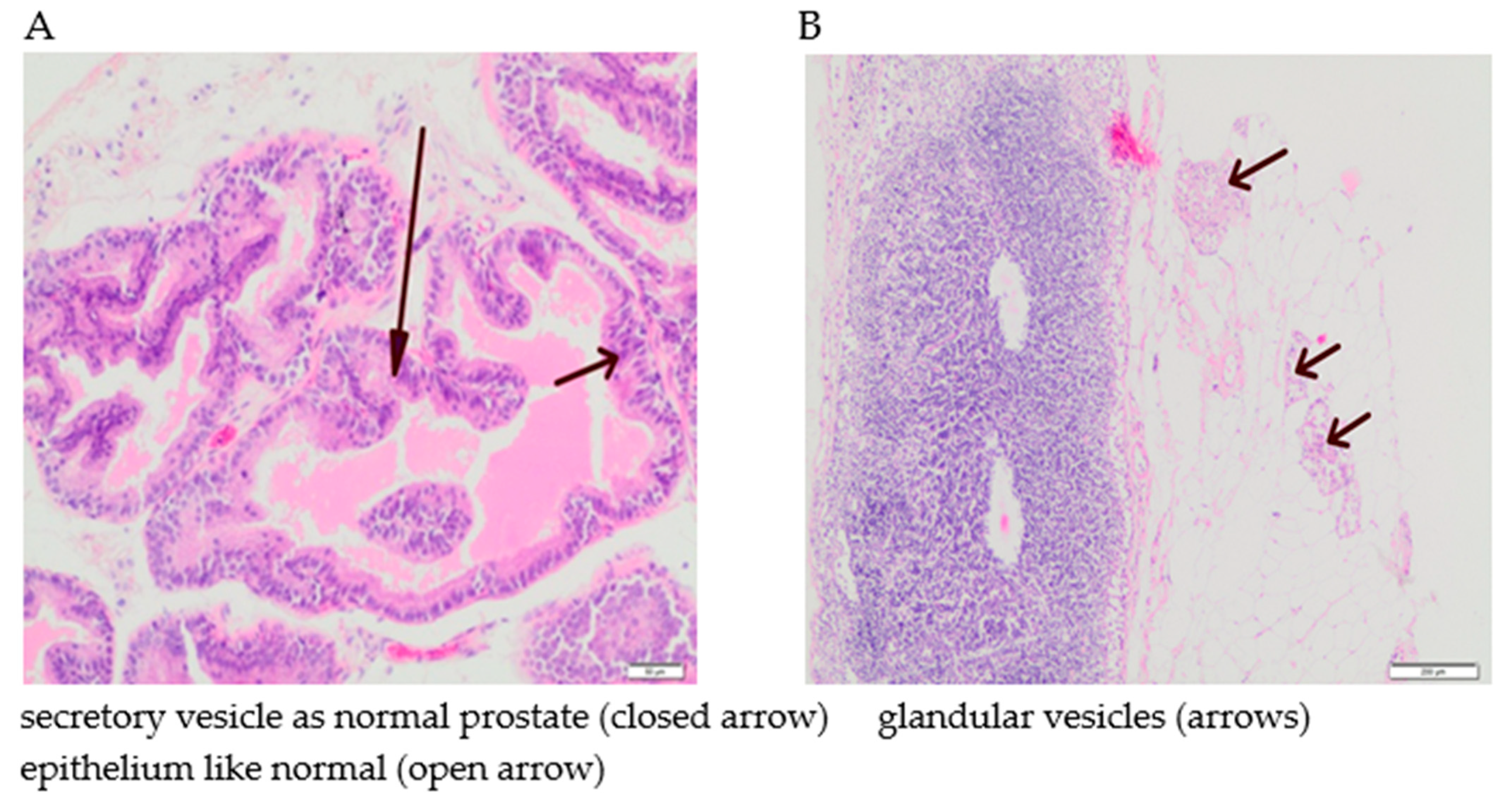 Nutrients 13 00100 g008a