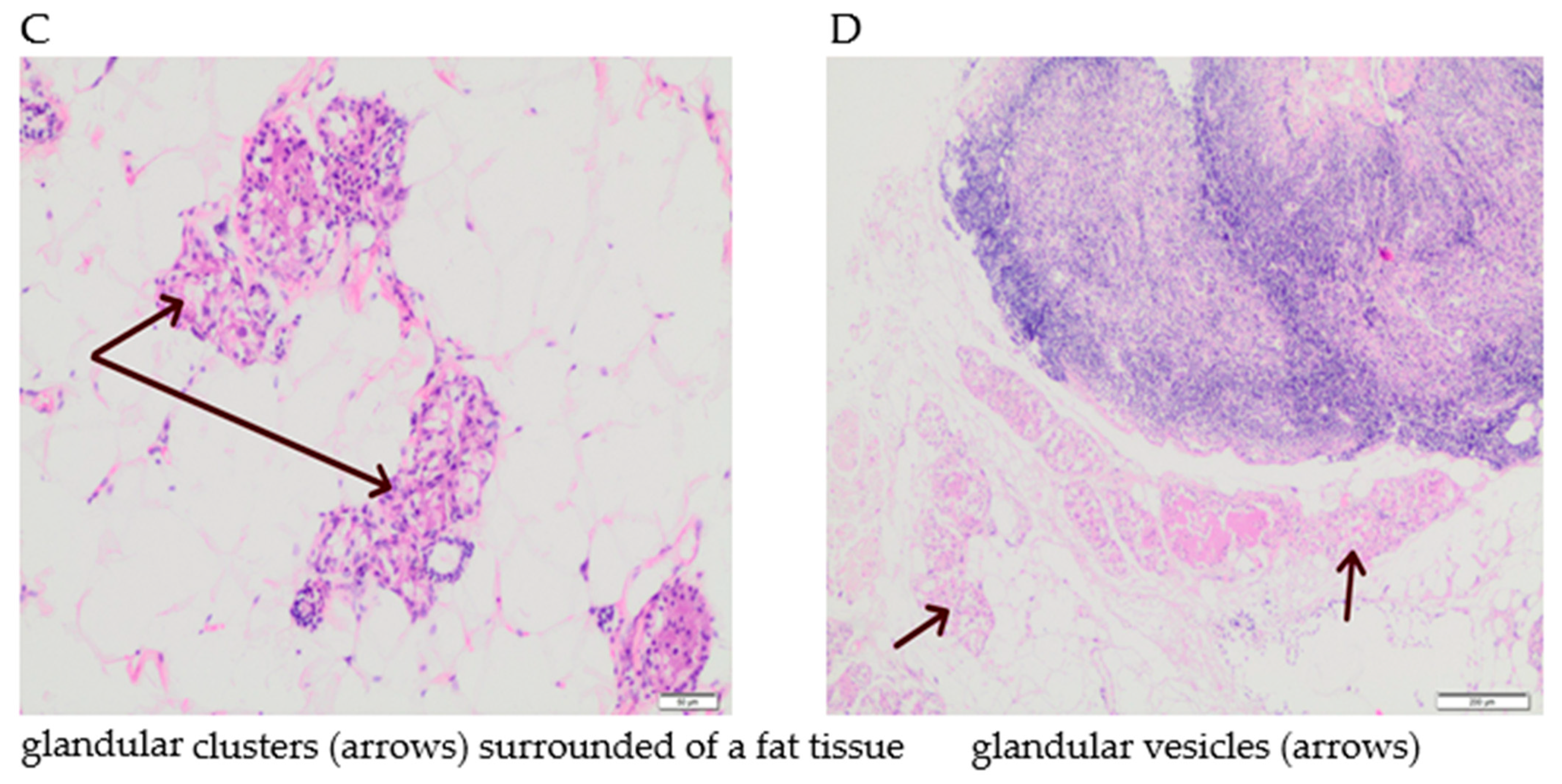 Nutrients 13 00100 g008b