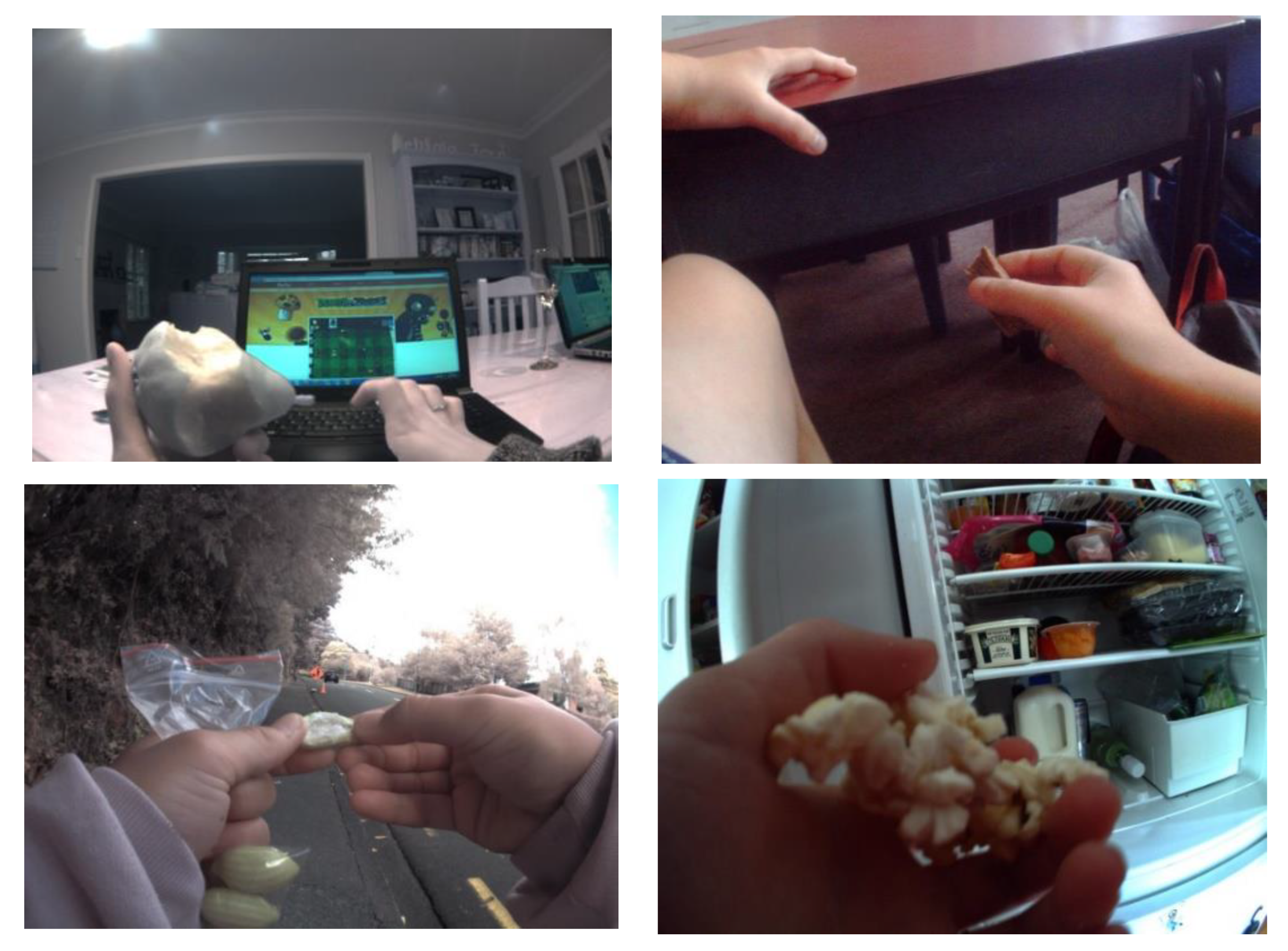 Nutrients 13 00103 g001