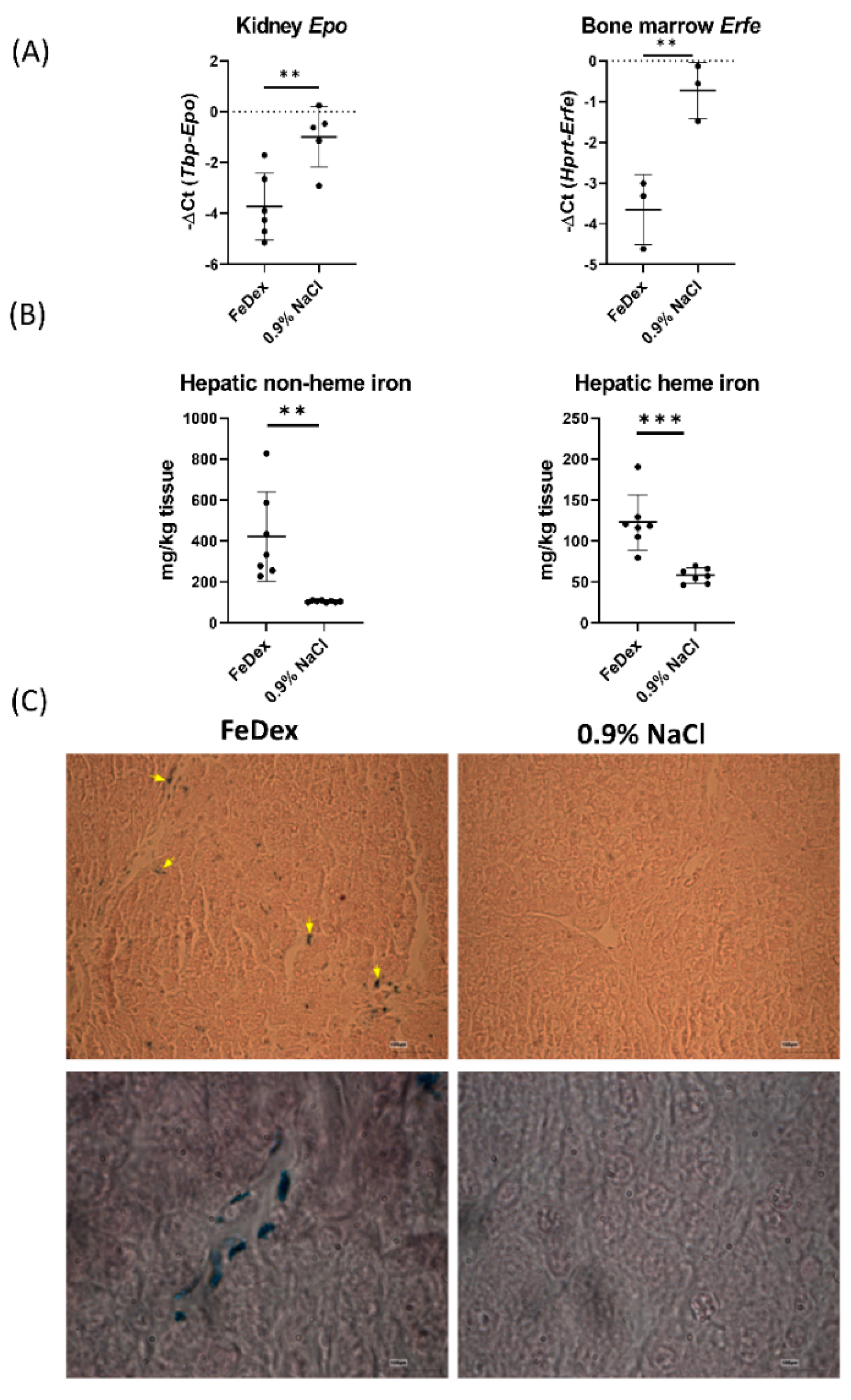 Nutrients 13 00104 g001
