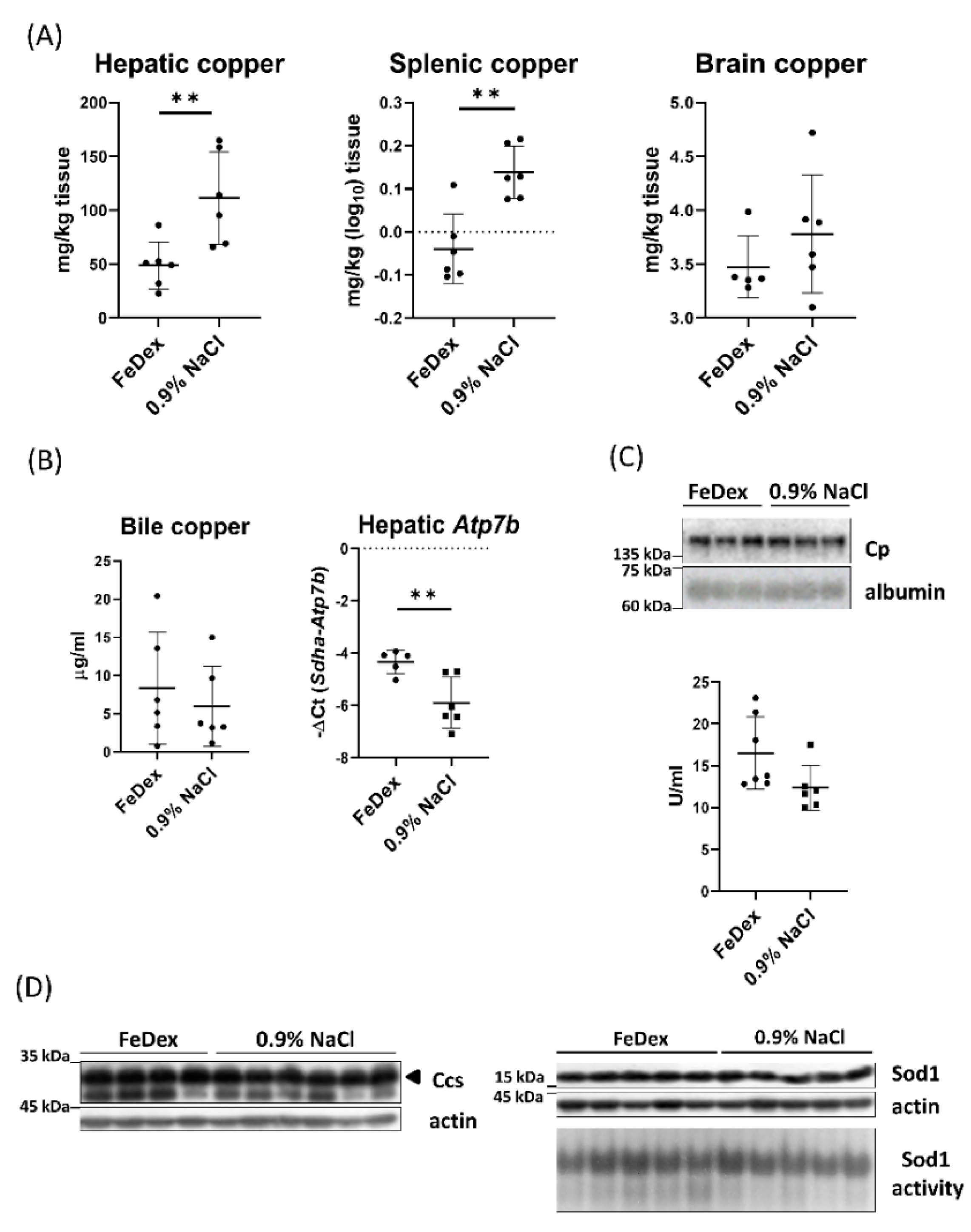 Nutrients 13 00104 g002