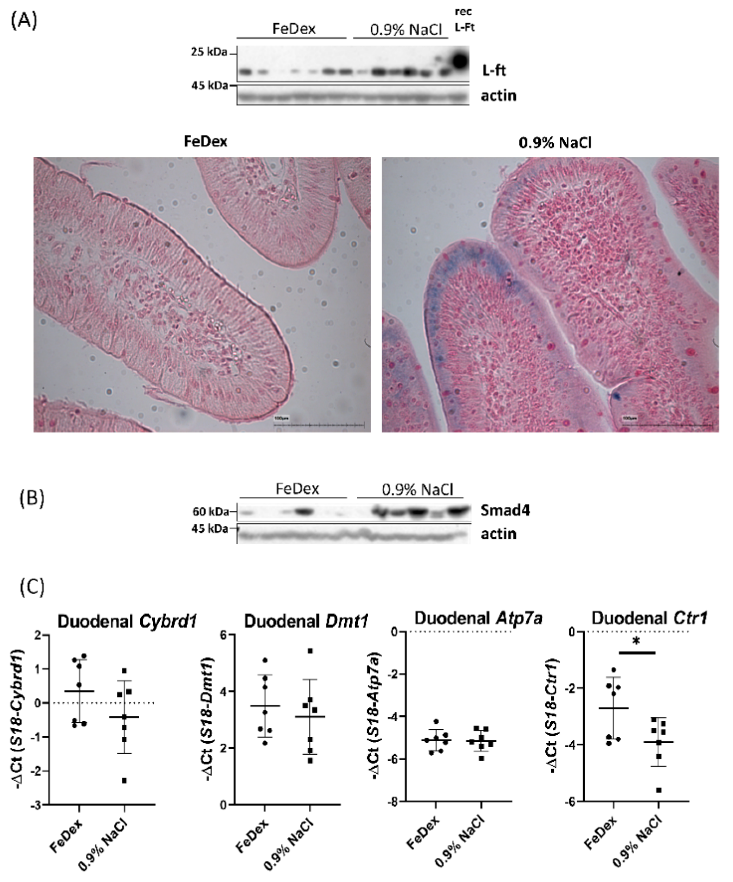 Nutrients 13 00104 g003