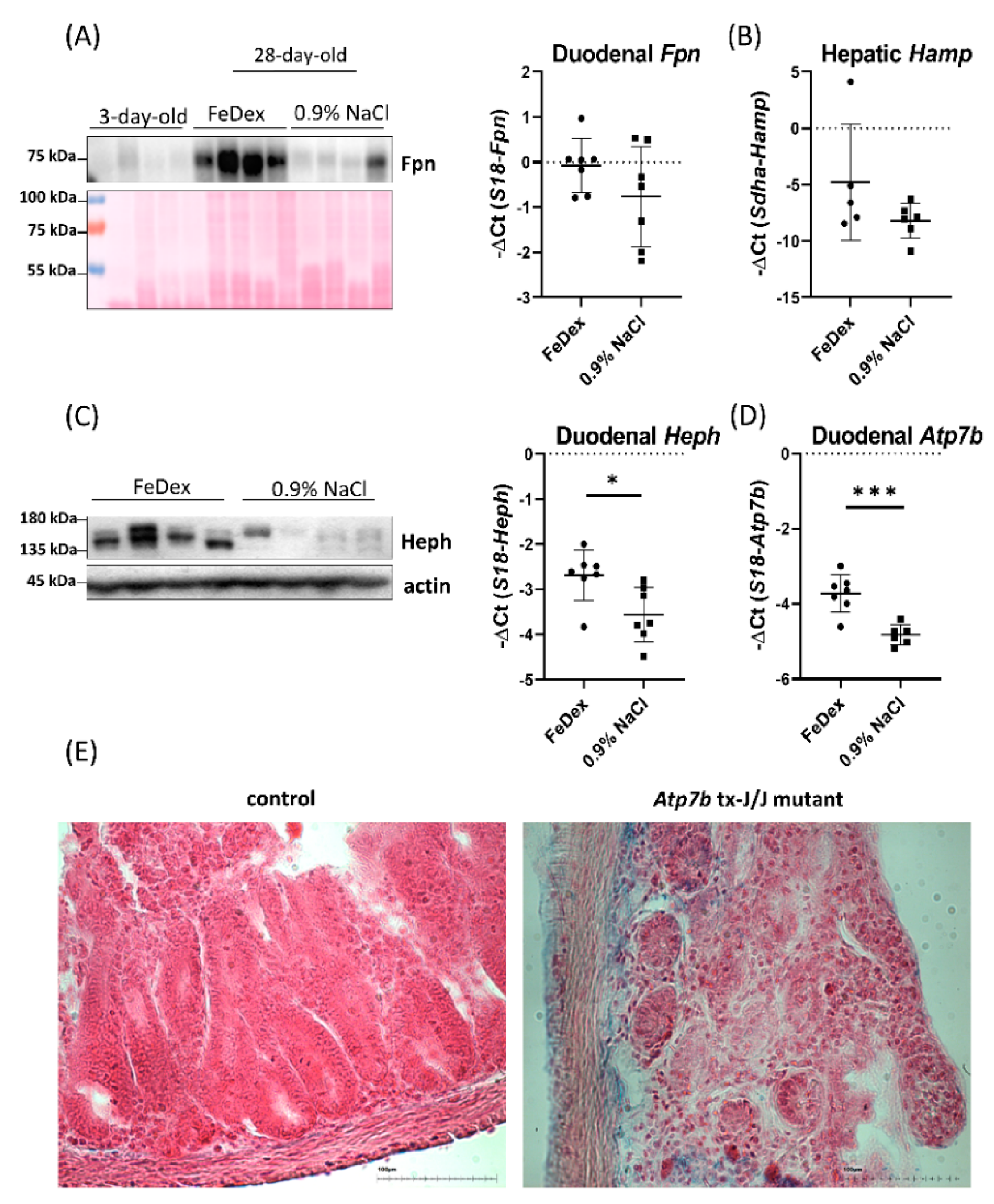 Nutrients 13 00104 g004